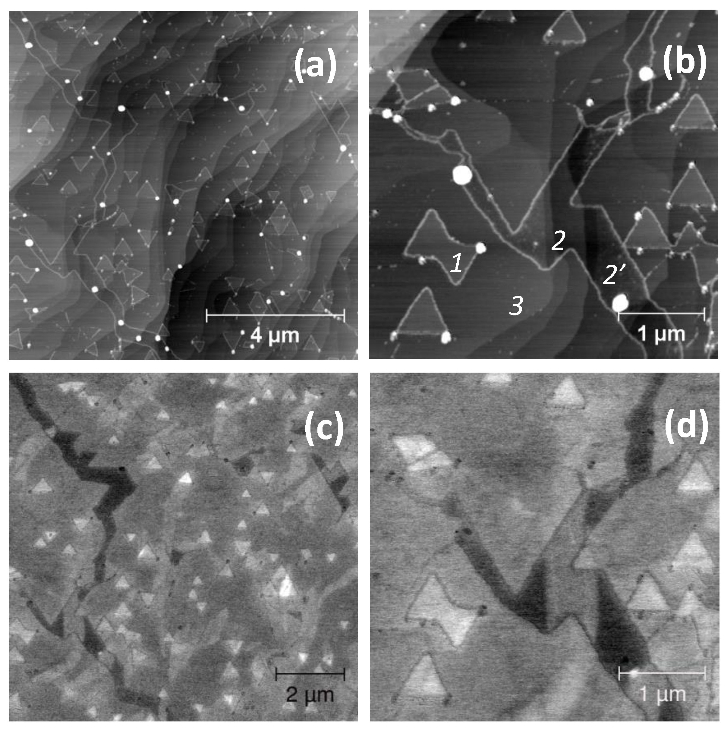 Nanomaterials 10 02494 g004