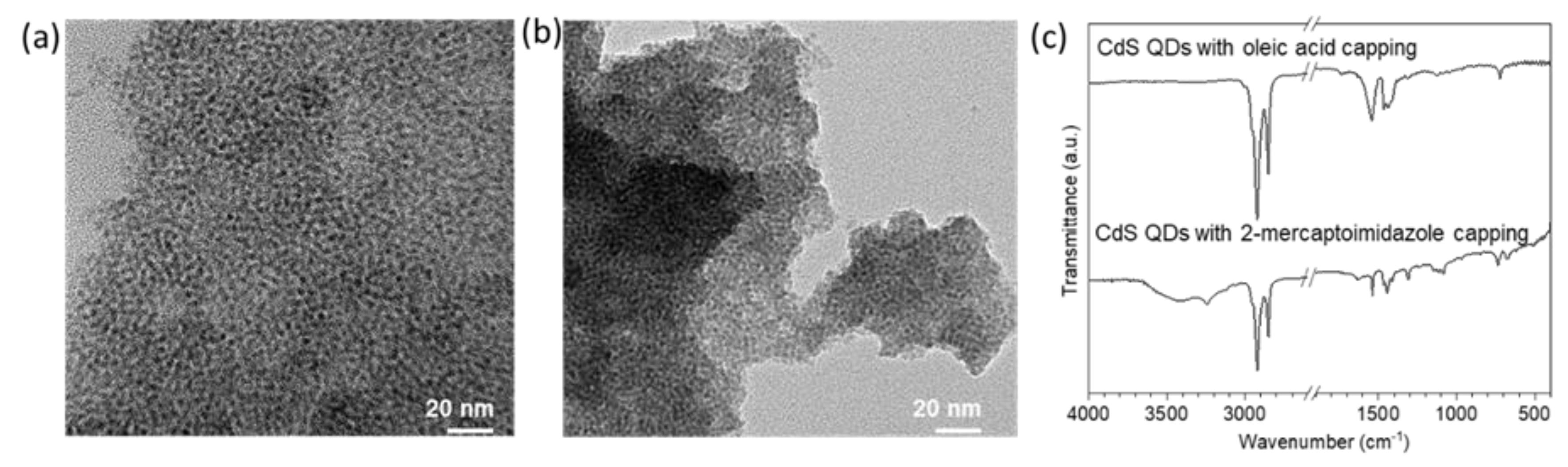 Nanomaterials 10 02498 g001
