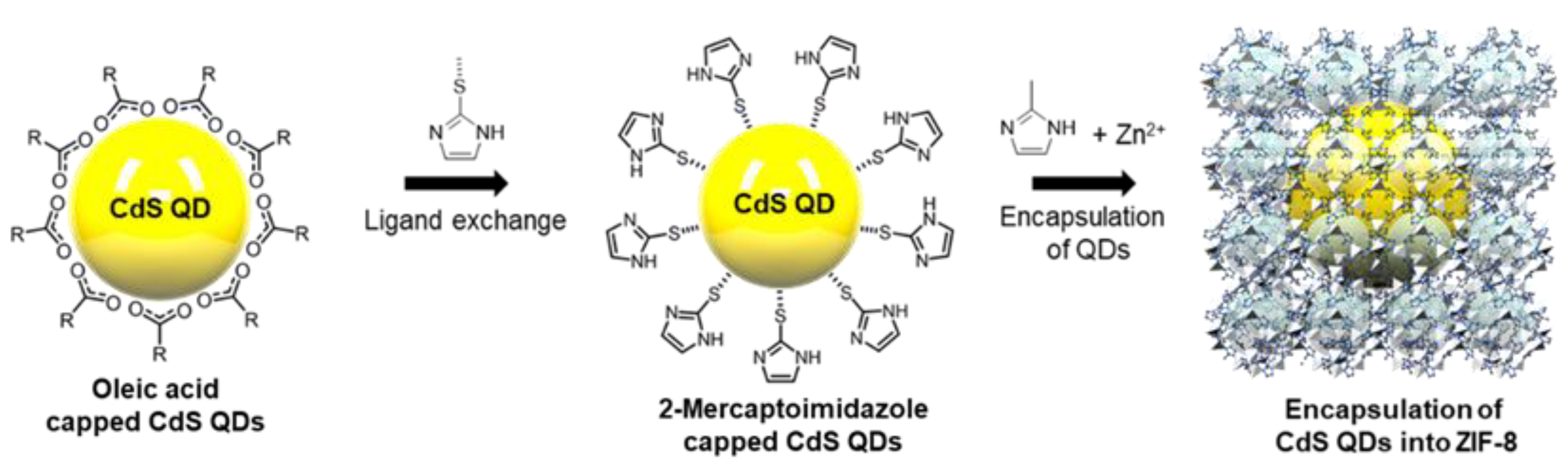 Nanomaterials 10 02498 sch001