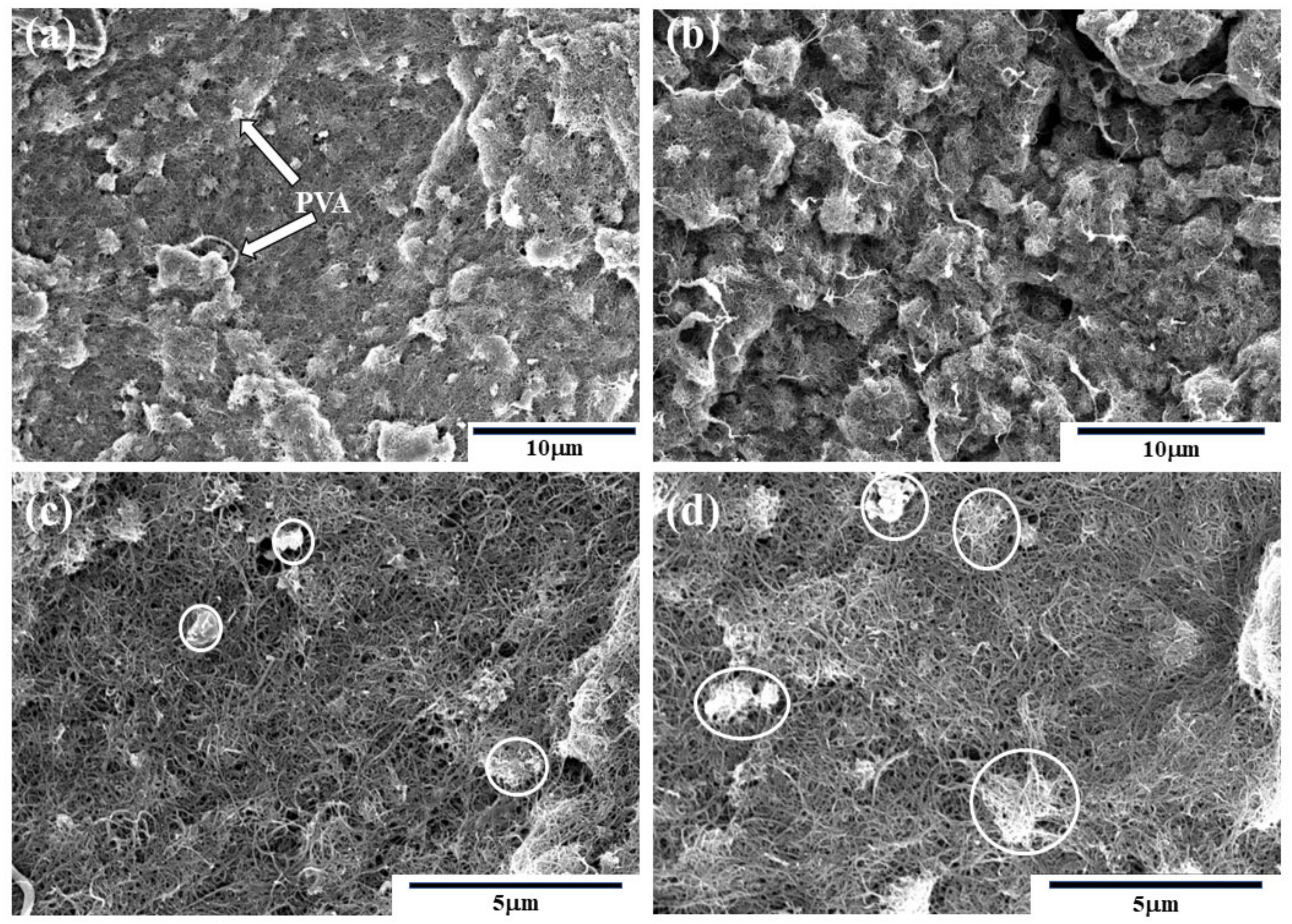Nanomaterials 10 02503 g003 Nanomaterials 10 02503 g003