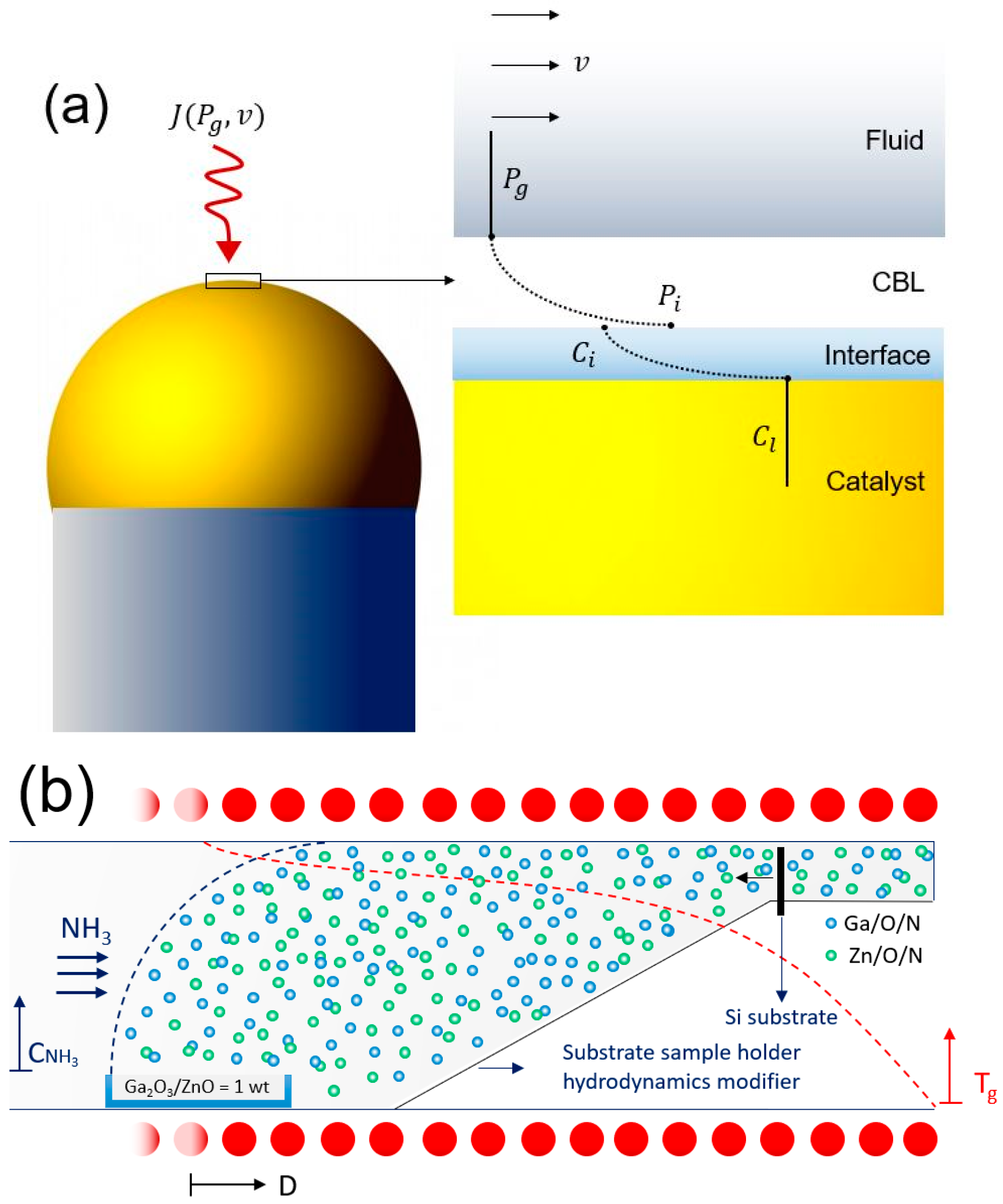 Nanomaterials 10 02507 g001a