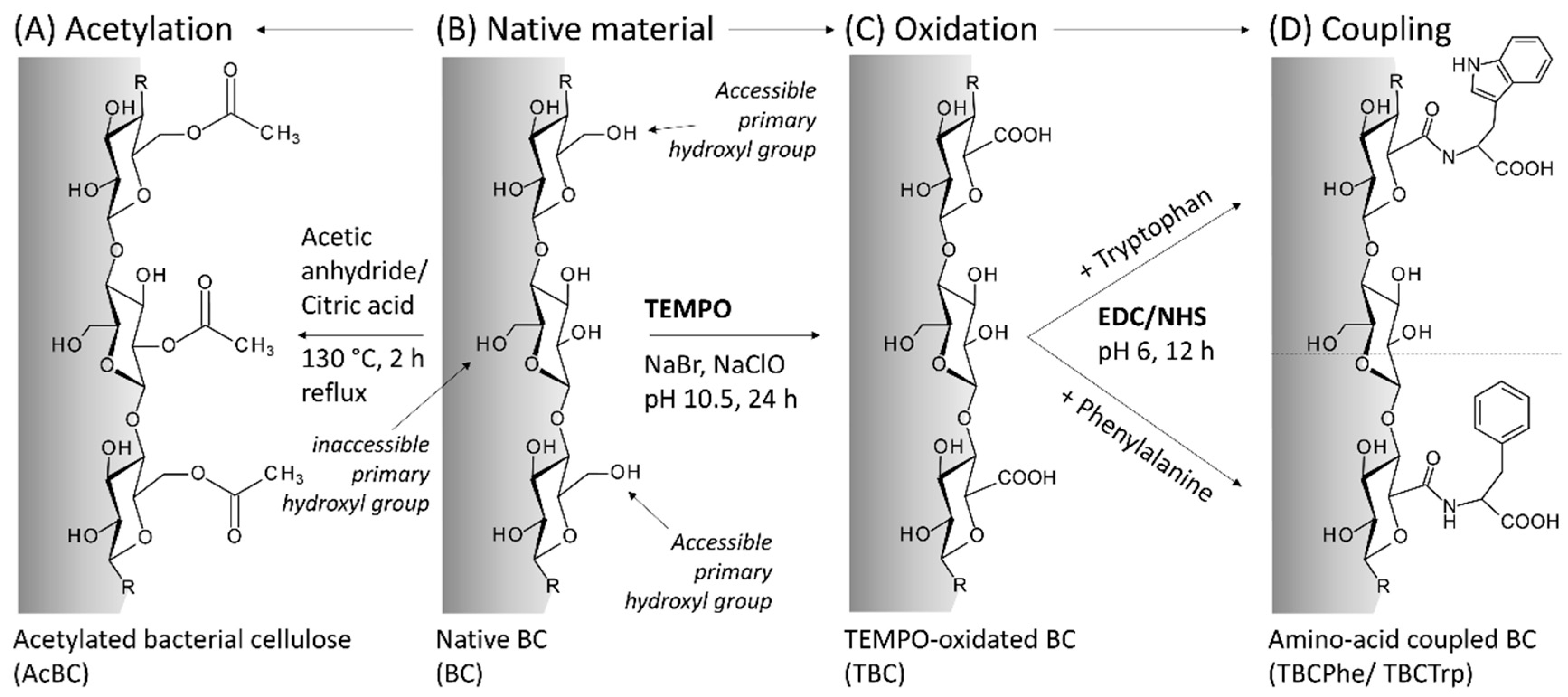 Nanomaterials 10 02508 g001