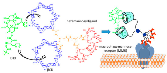 Nanomaterials 10 02517 g002 550