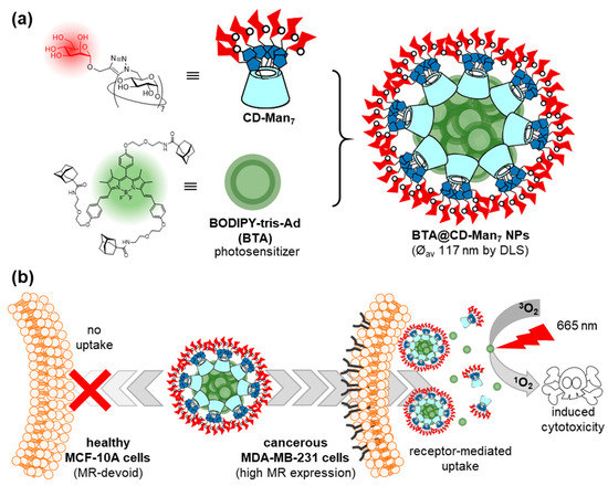 Nanomaterials 10 02517 g004 550