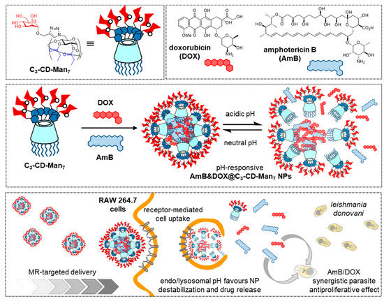 Nanomaterials 10 02517 g006 550