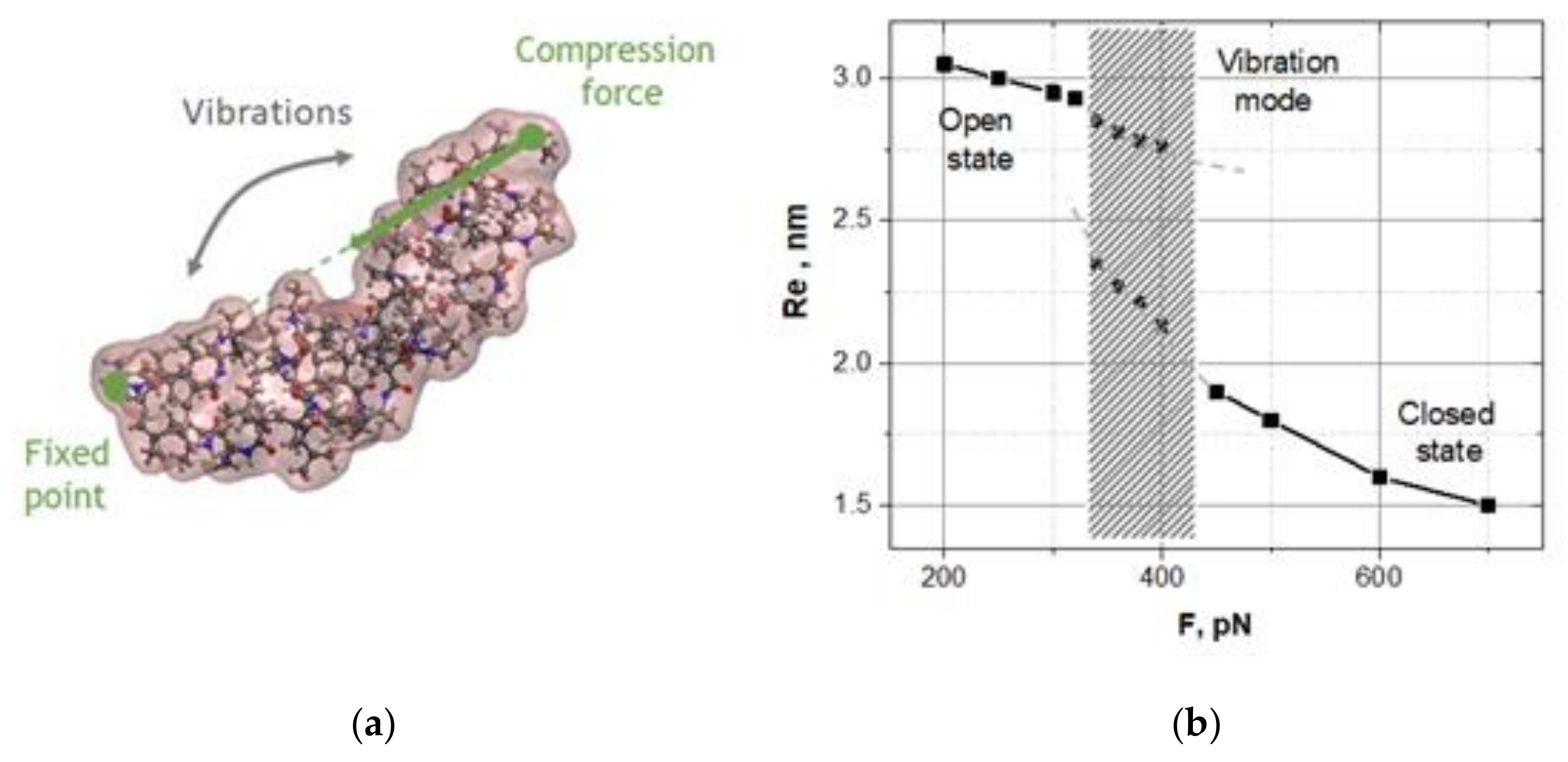Nanomaterials 10 02519 g002