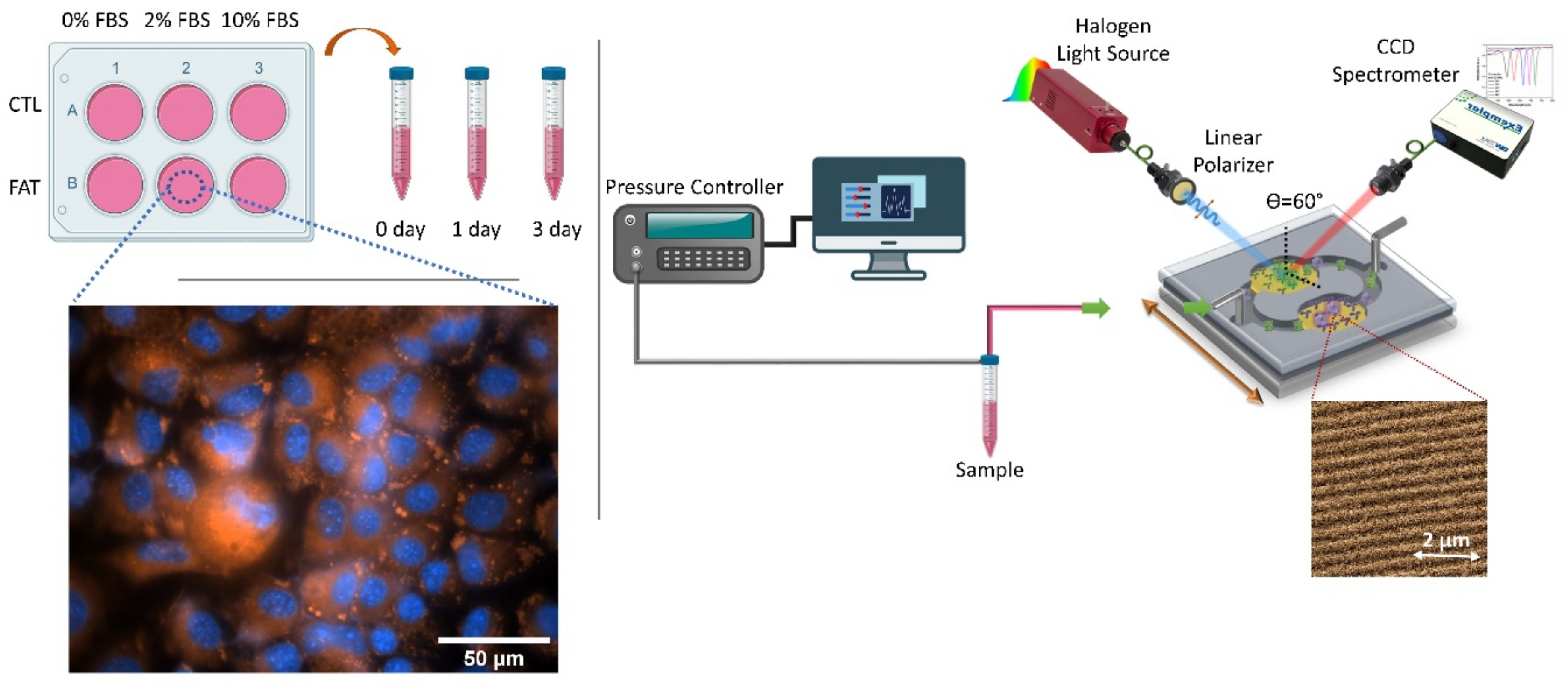 Nanomaterials 10 02520 g001
