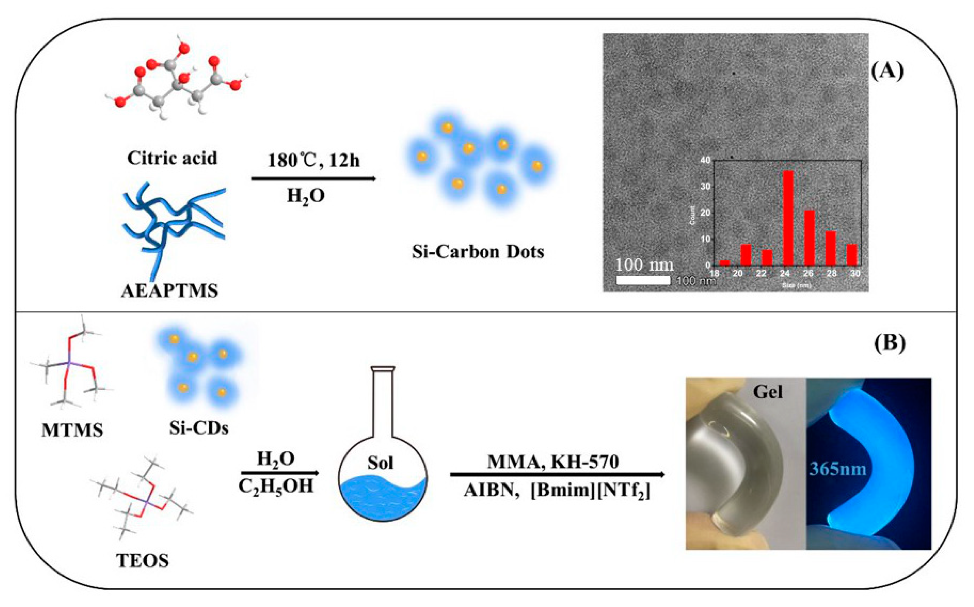 Nanomaterials 10 02521 g001