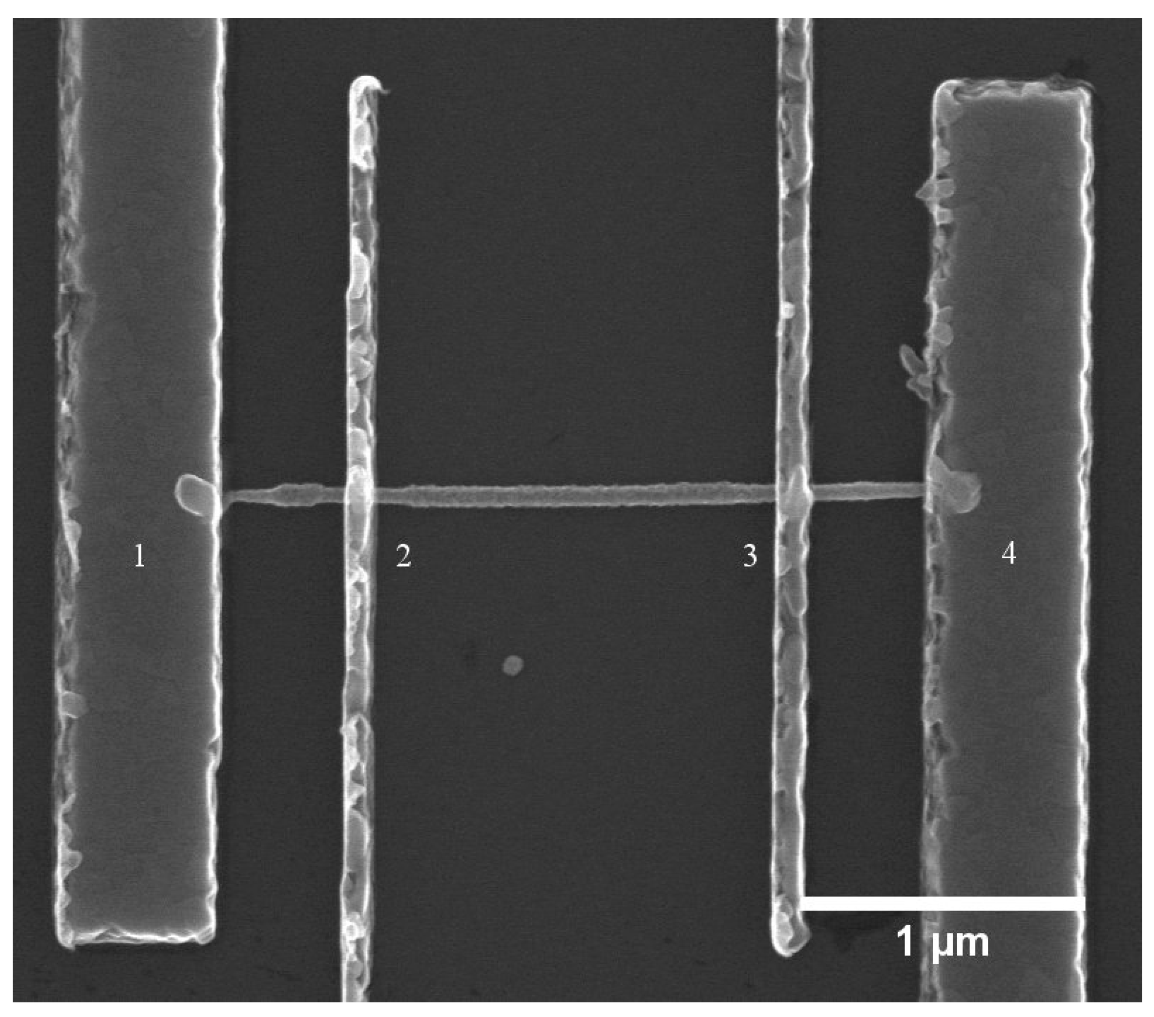 Nanomaterials 10 02524 g001 Nanomaterials 10 02524 g001
