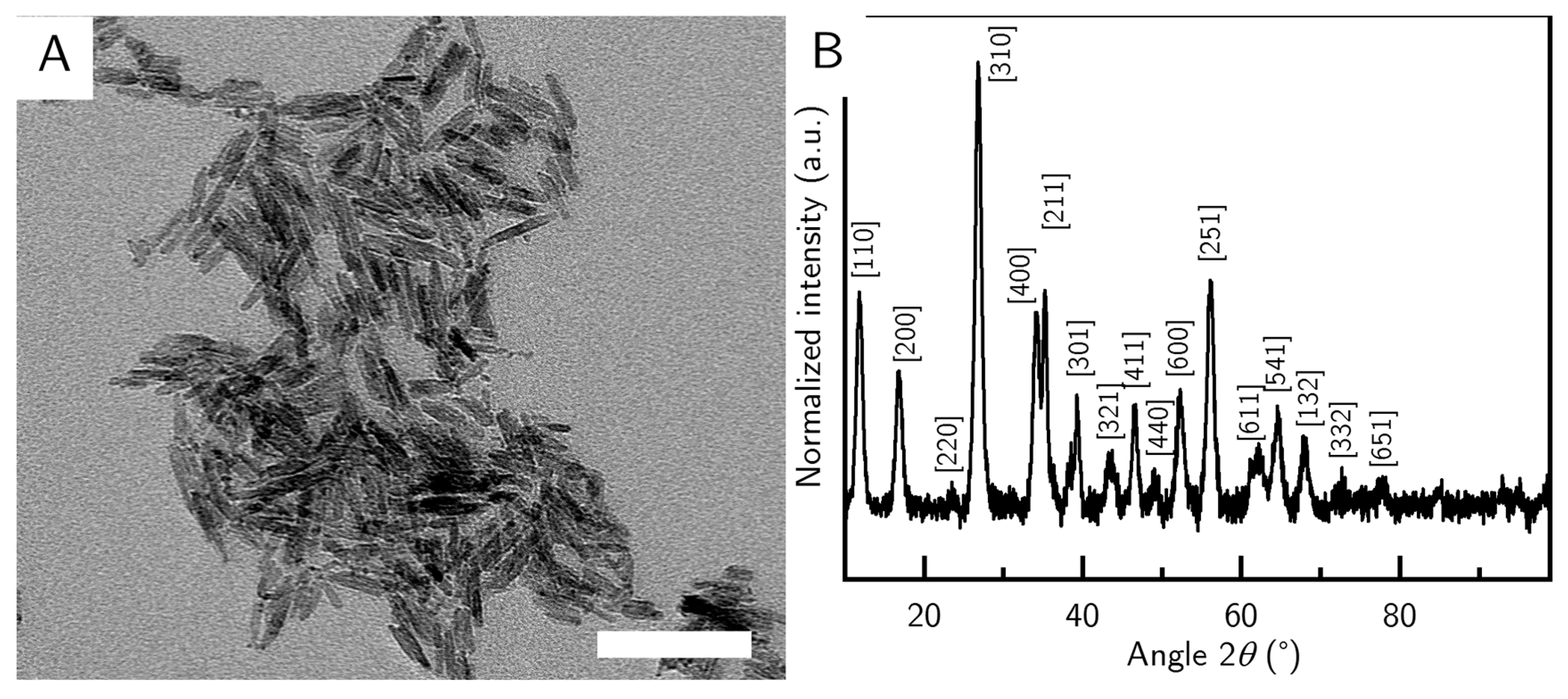 Nanomaterials 10 02526 g001