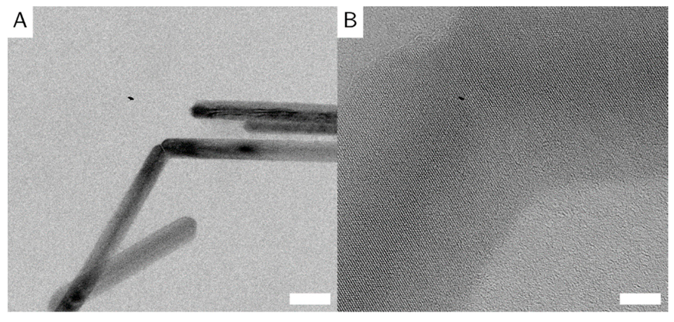 Nanomaterials 10 02526 g005