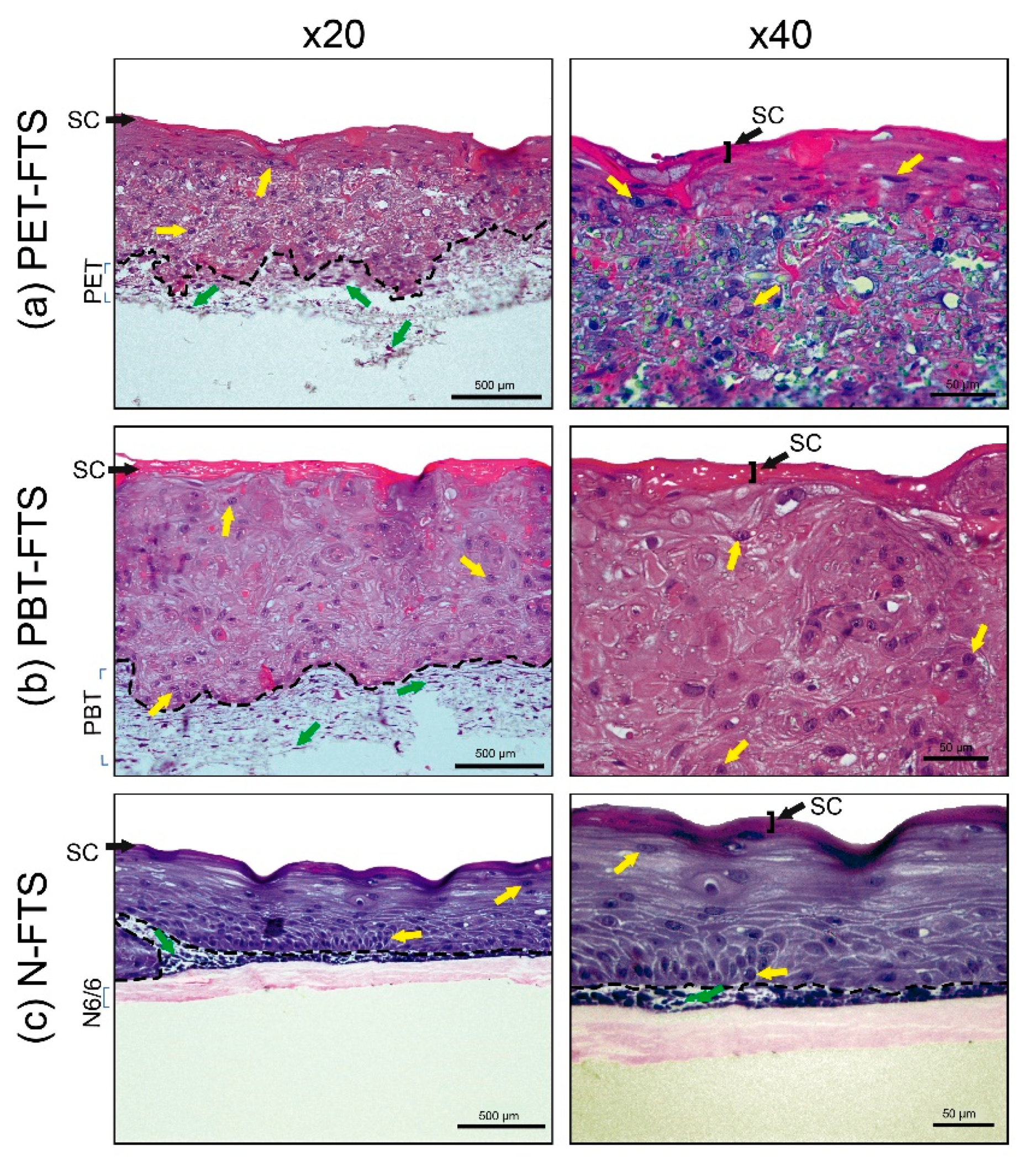 Nanomaterials 10 02528 g002