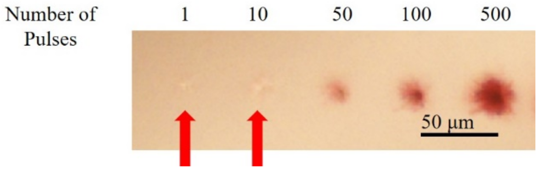 Nanomaterials 10 02529 g006 Nanomaterials 10 02529 g006