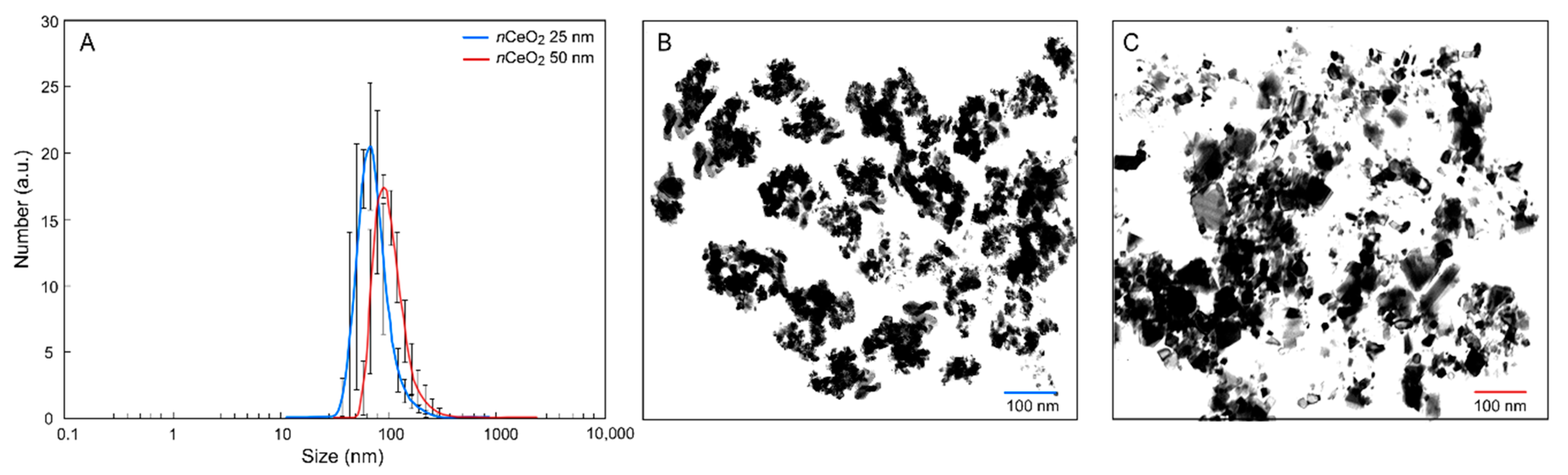 Nanomaterials 10 02534 g001 Nanomaterials 10 02534 g001