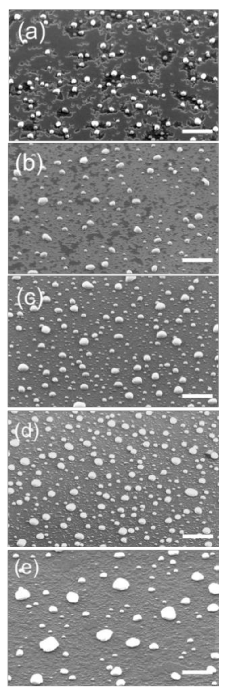 Nanomaterials 10 02542 g001