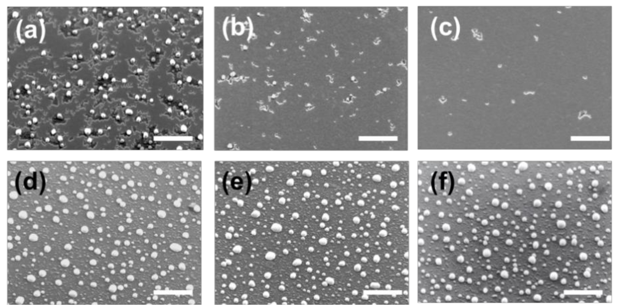 Nanomaterials 10 02542 g002