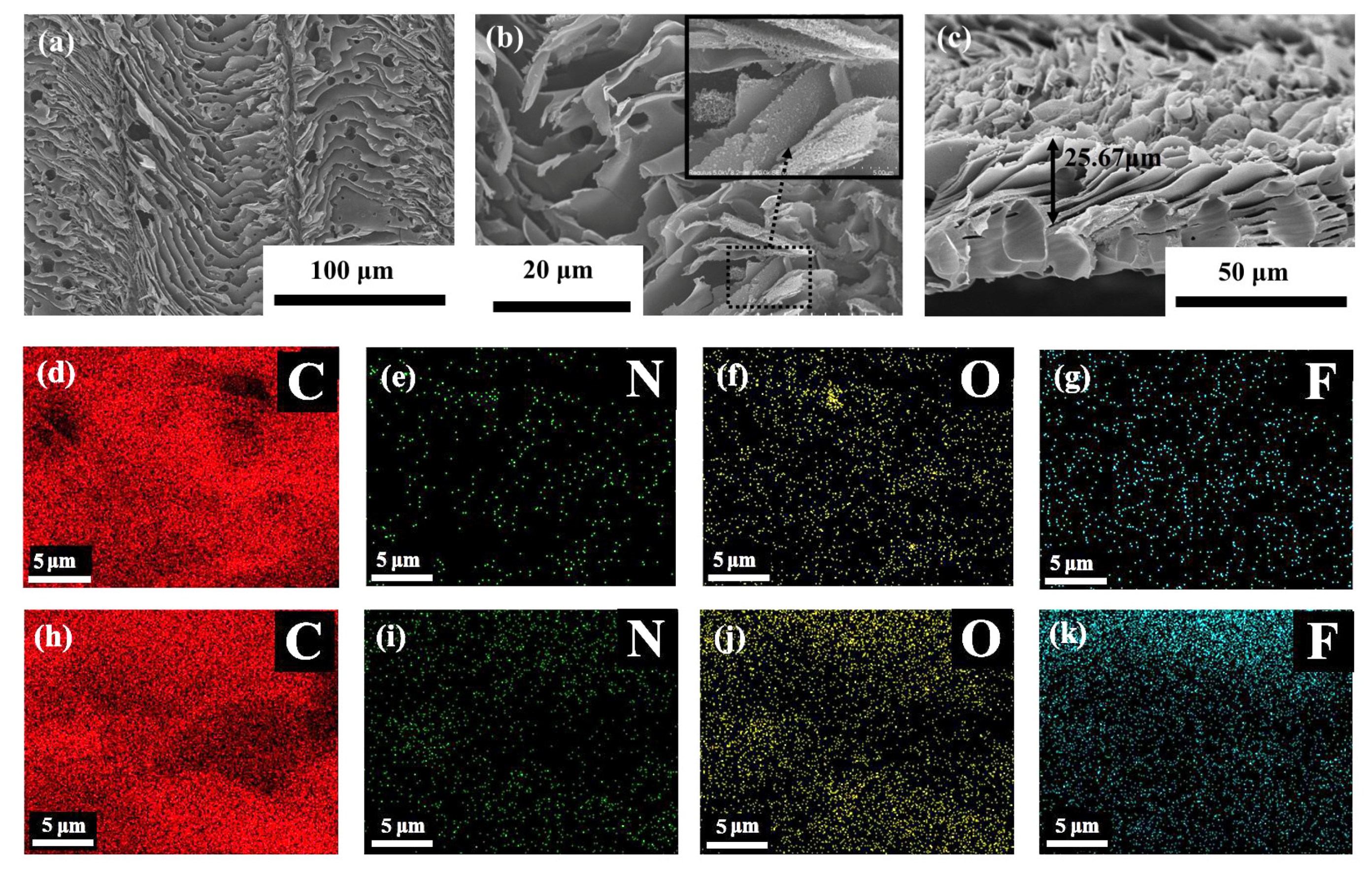 Nanomaterials 10 02547 g002