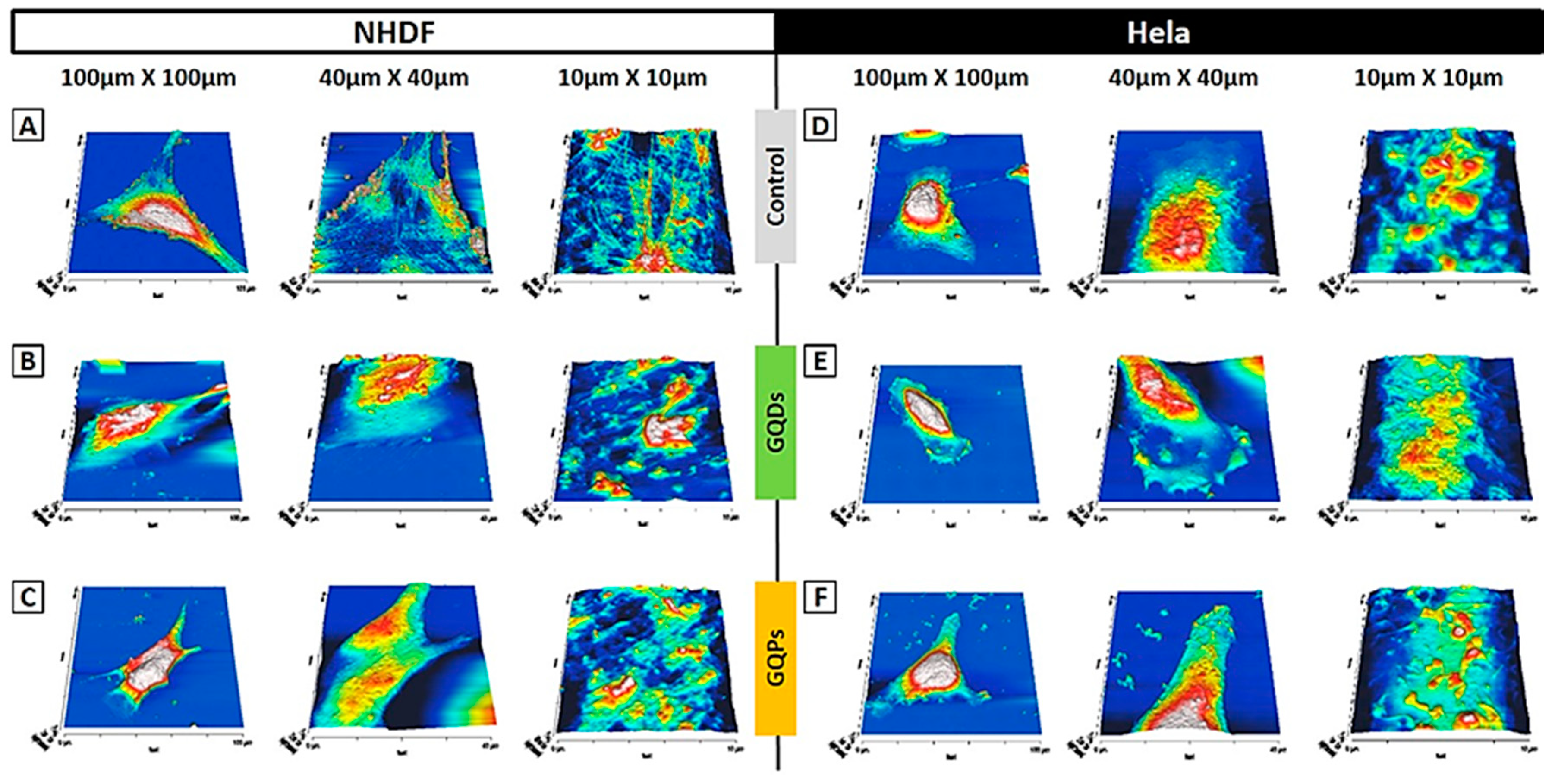 Nanomaterials 10 02550 g007 Nanomaterials 10 02550 g007