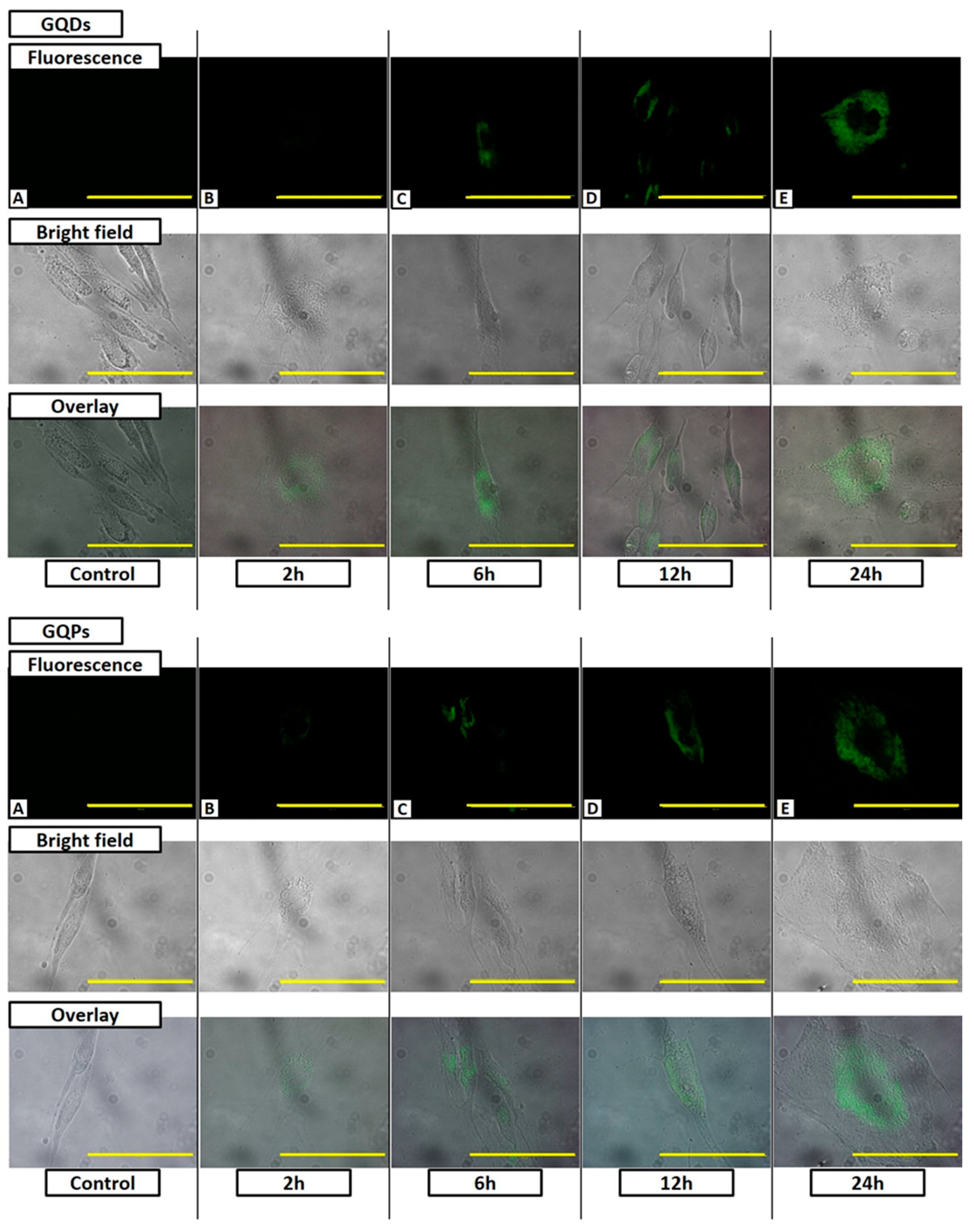 Nanomaterials 10 02550 g009 Nanomaterials 10 02550 g009