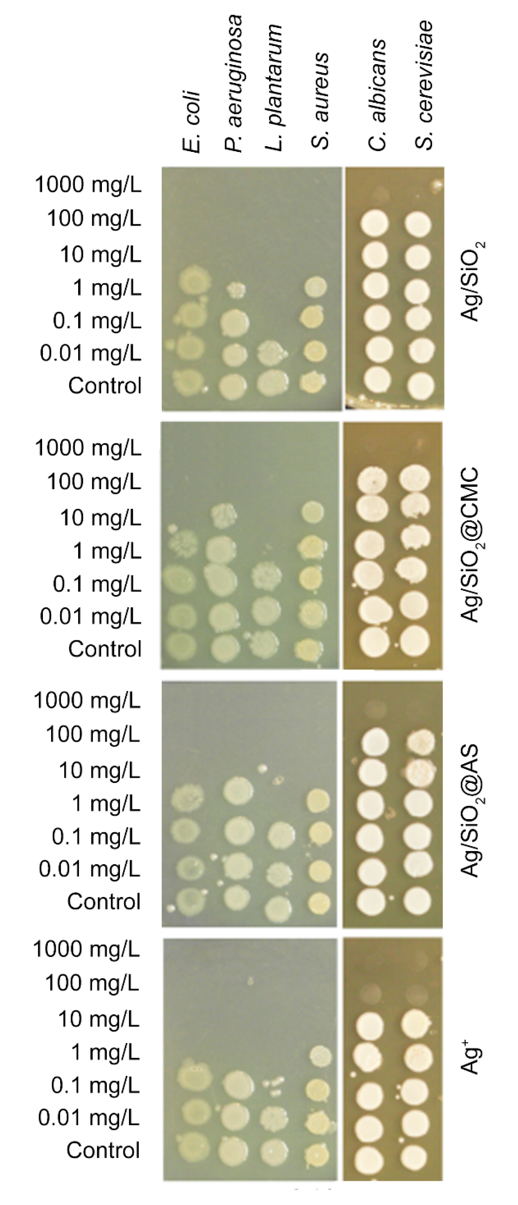 Nanomaterials 10 02551 g008 Nanomaterials 10 02551 g008