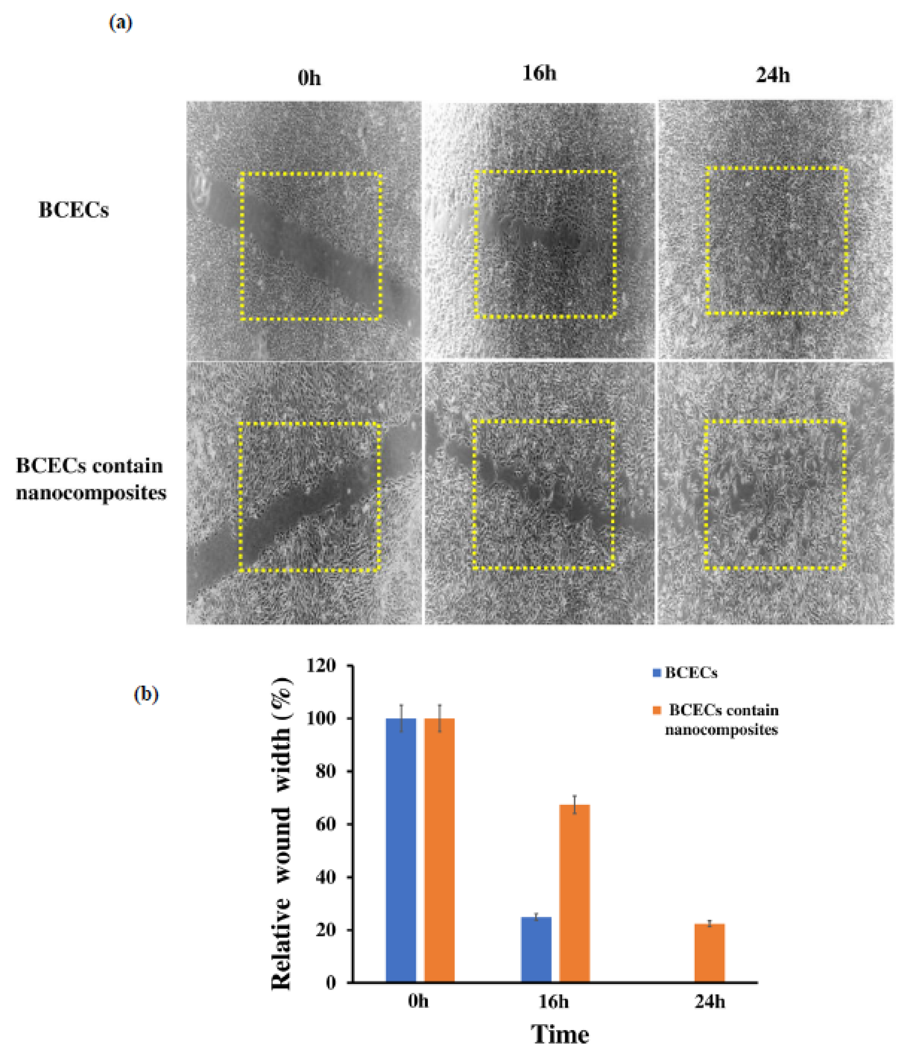 Nanomaterials 10 02555 g003 Nanomaterials 10 02555 g003