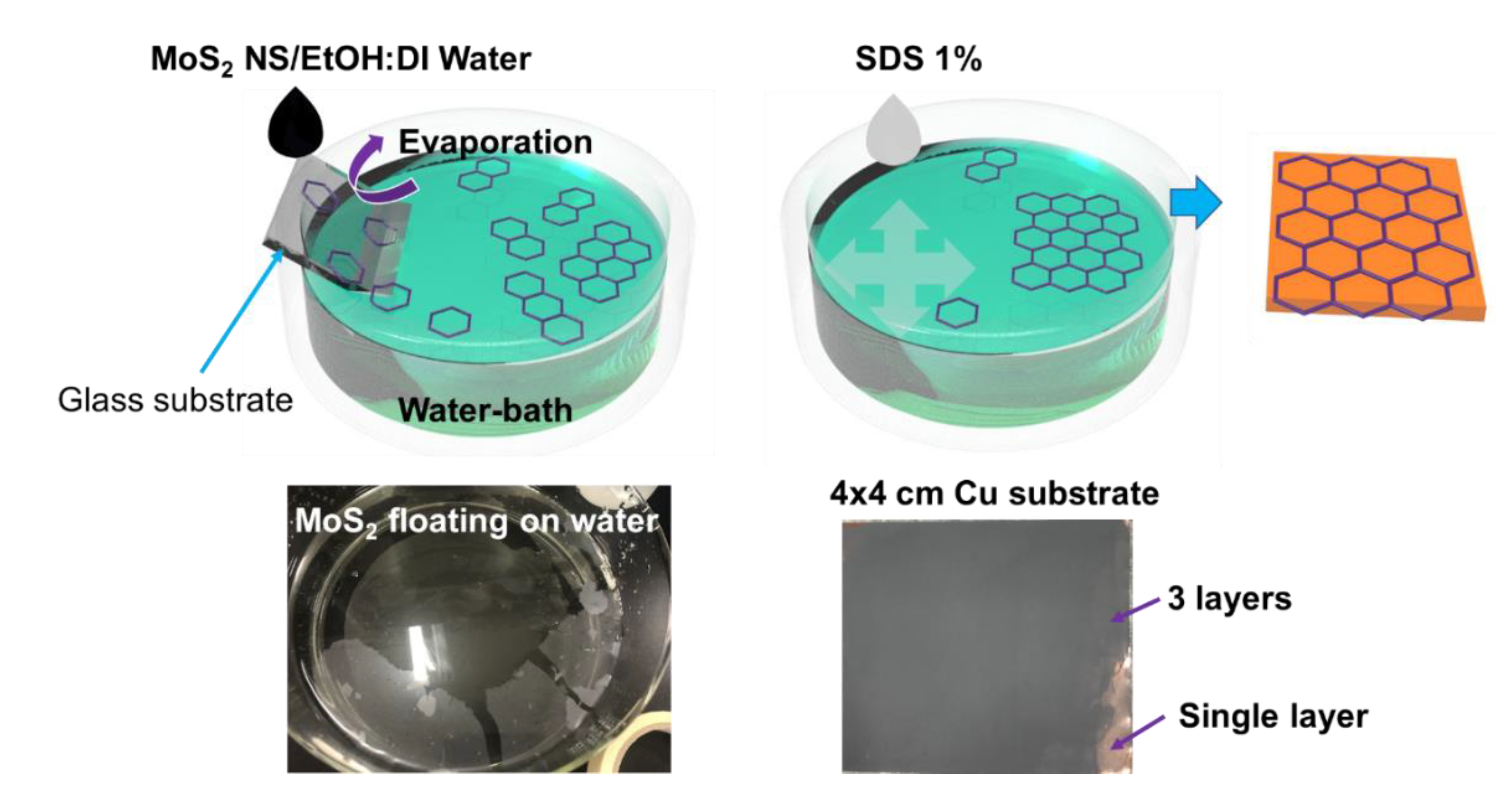 Nanomaterials 10 02558 g001