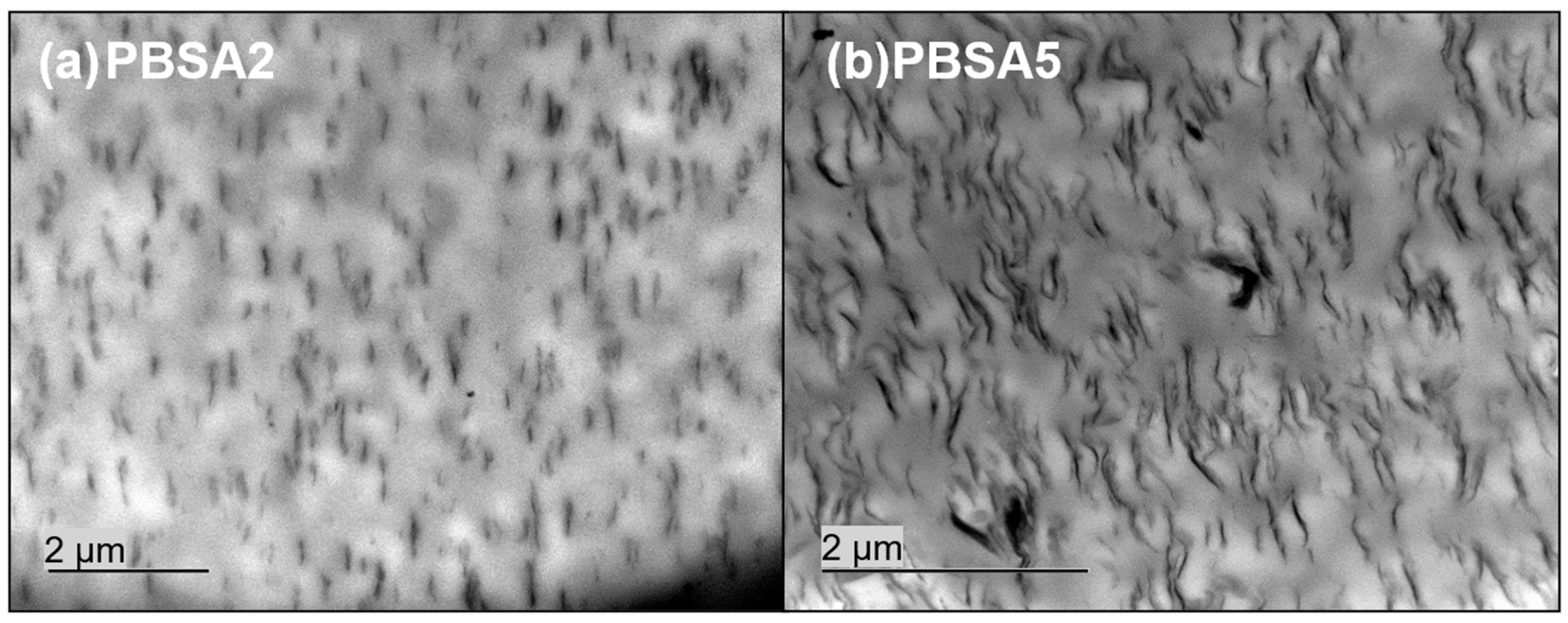 Nanomaterials 10 02561 g001