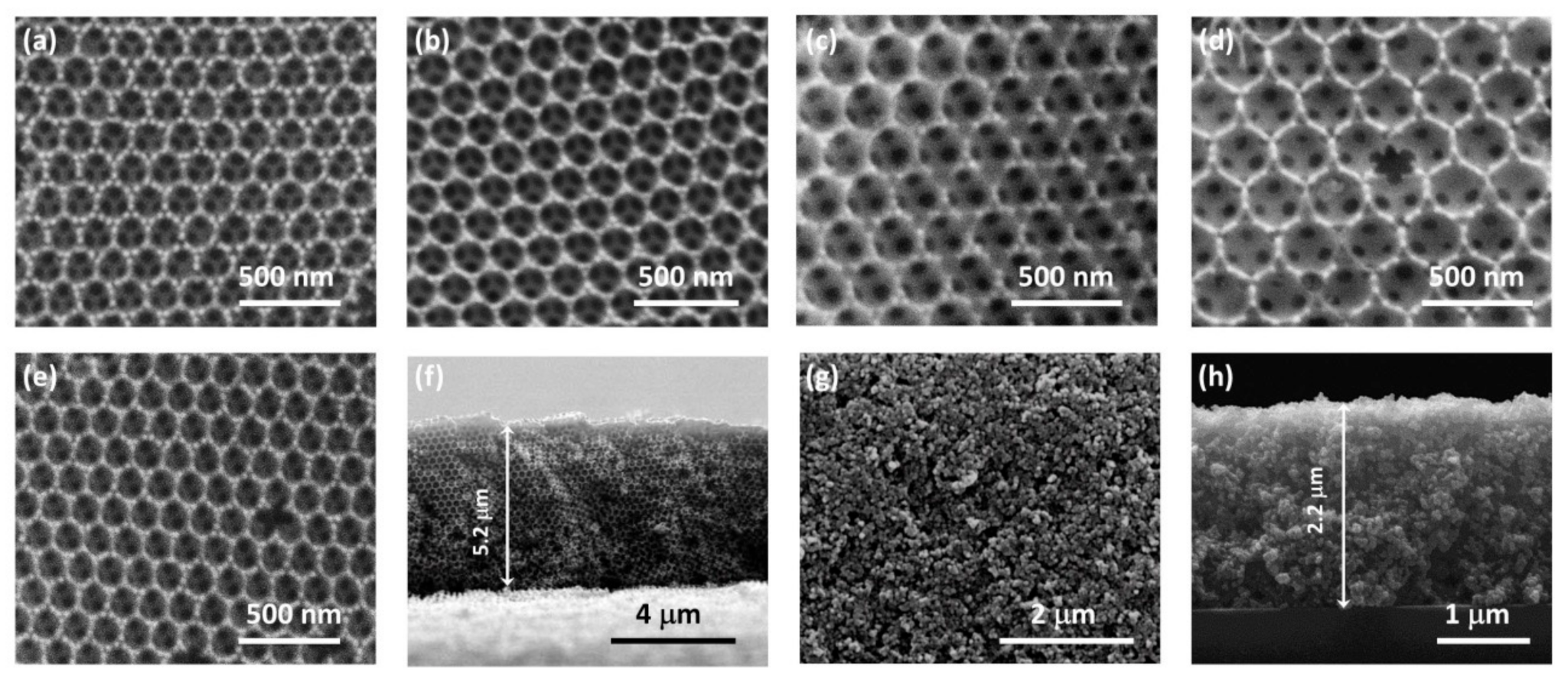 Nanomaterials 10 02566 g001