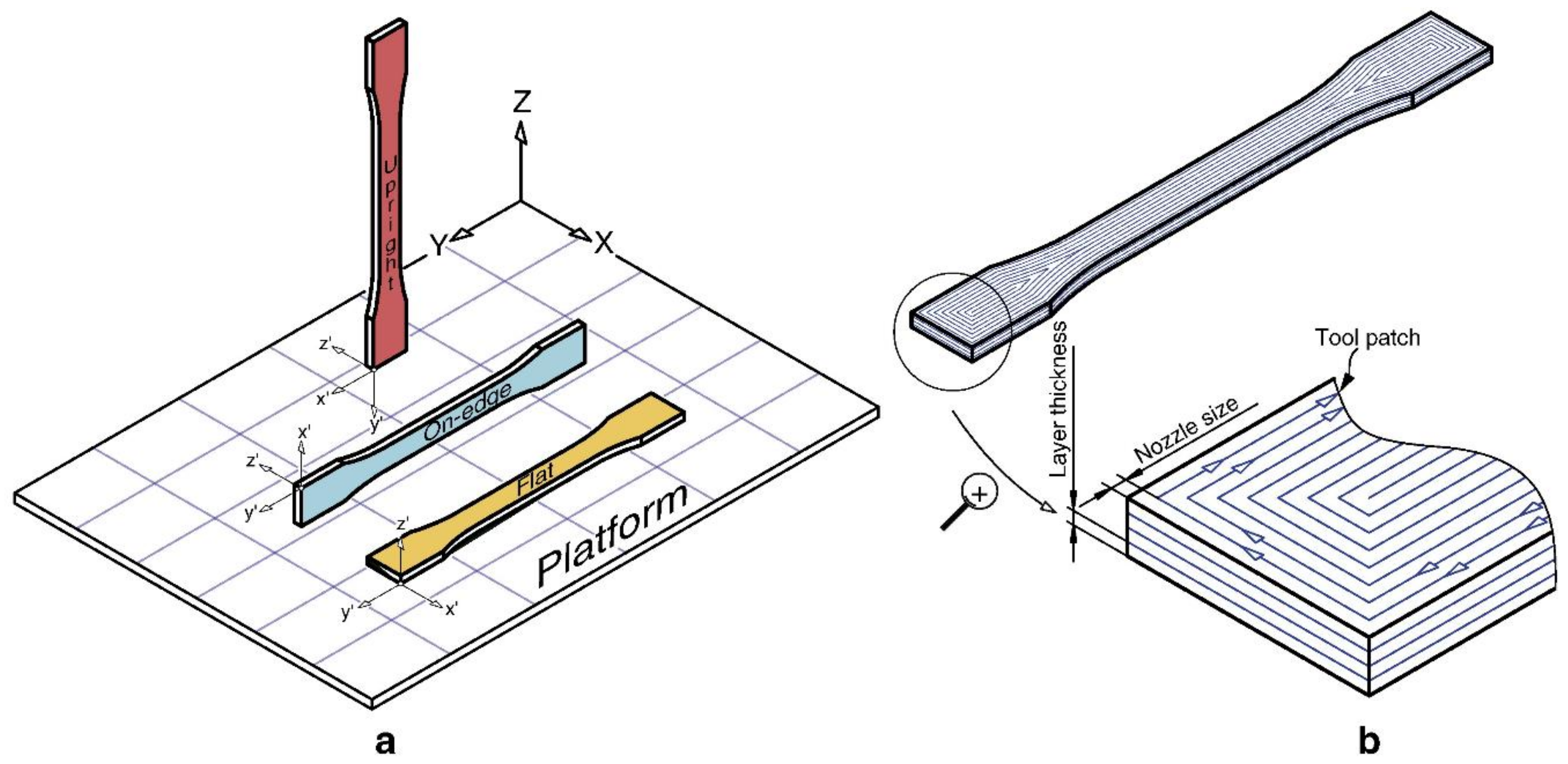 Nanomaterials 10 02567 g002