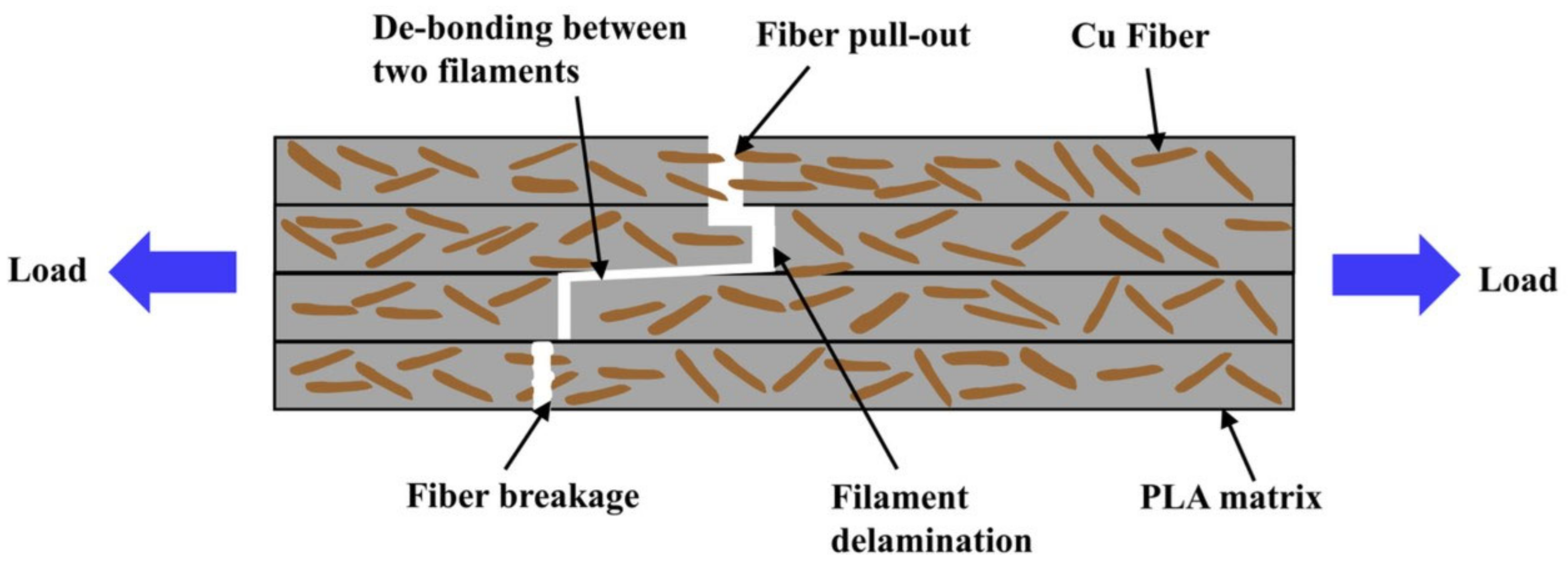 Nanomaterials 10 02567 g008