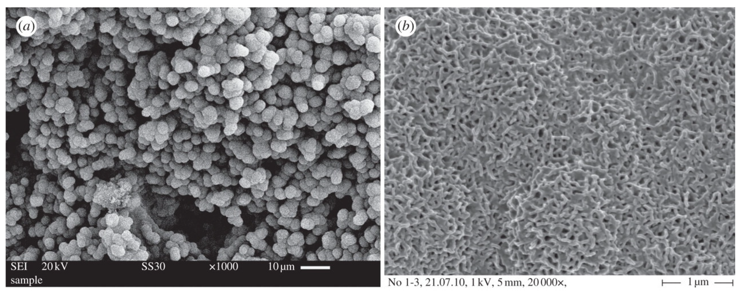 Nanomaterials 10 02571 g010 Nanomaterials 10 02571 g010