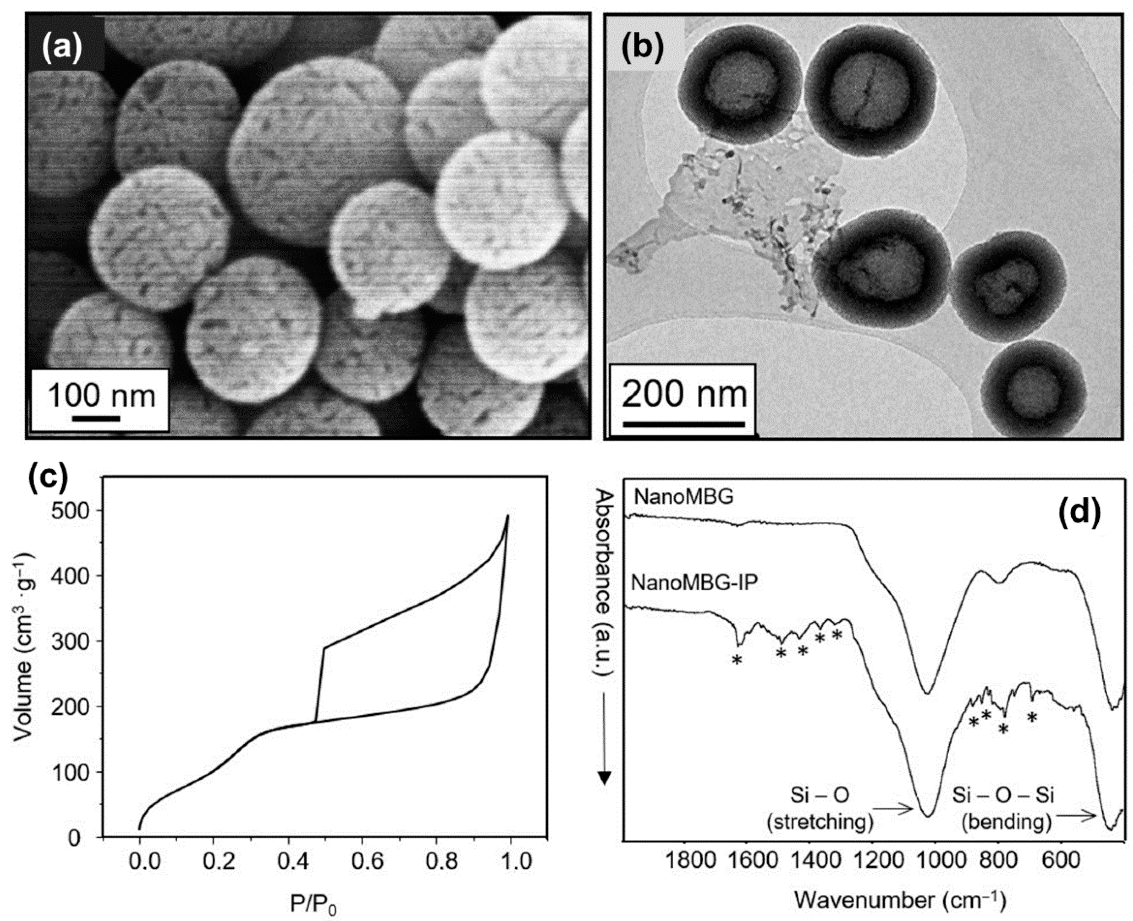 Nanomaterials 10 02573 g001