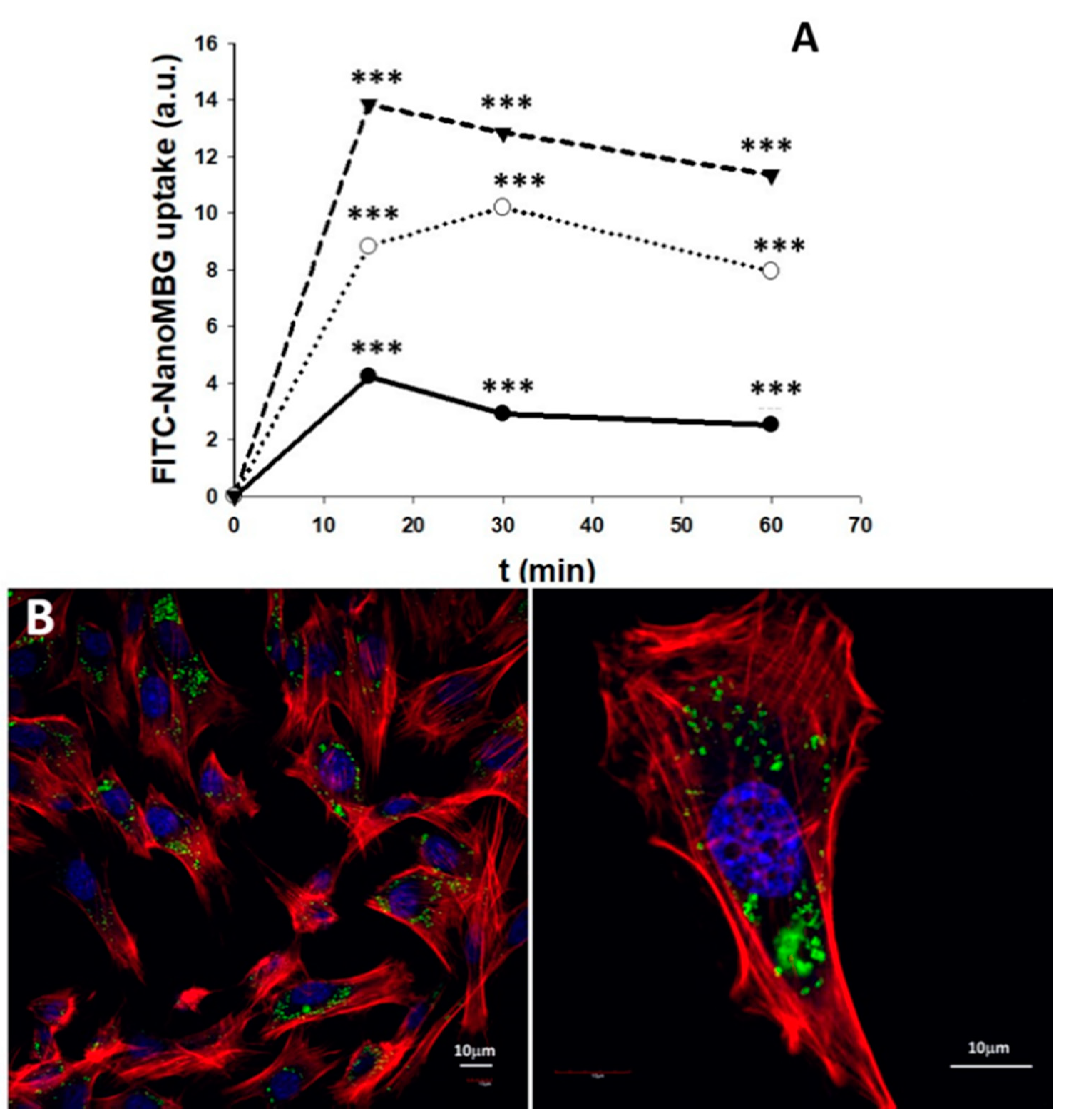 Nanomaterials 10 02573 g006