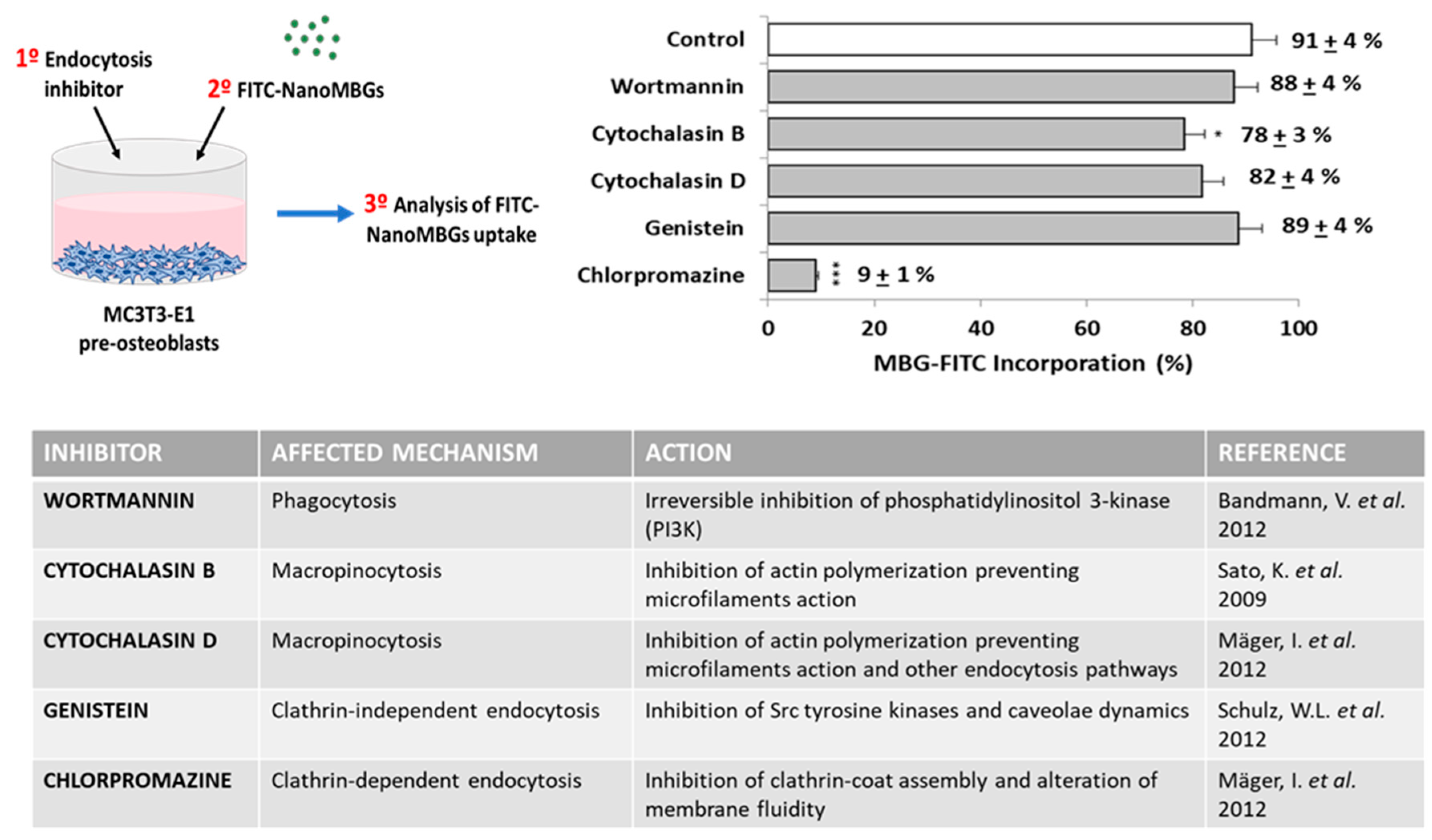 Nanomaterials 10 02573 g007