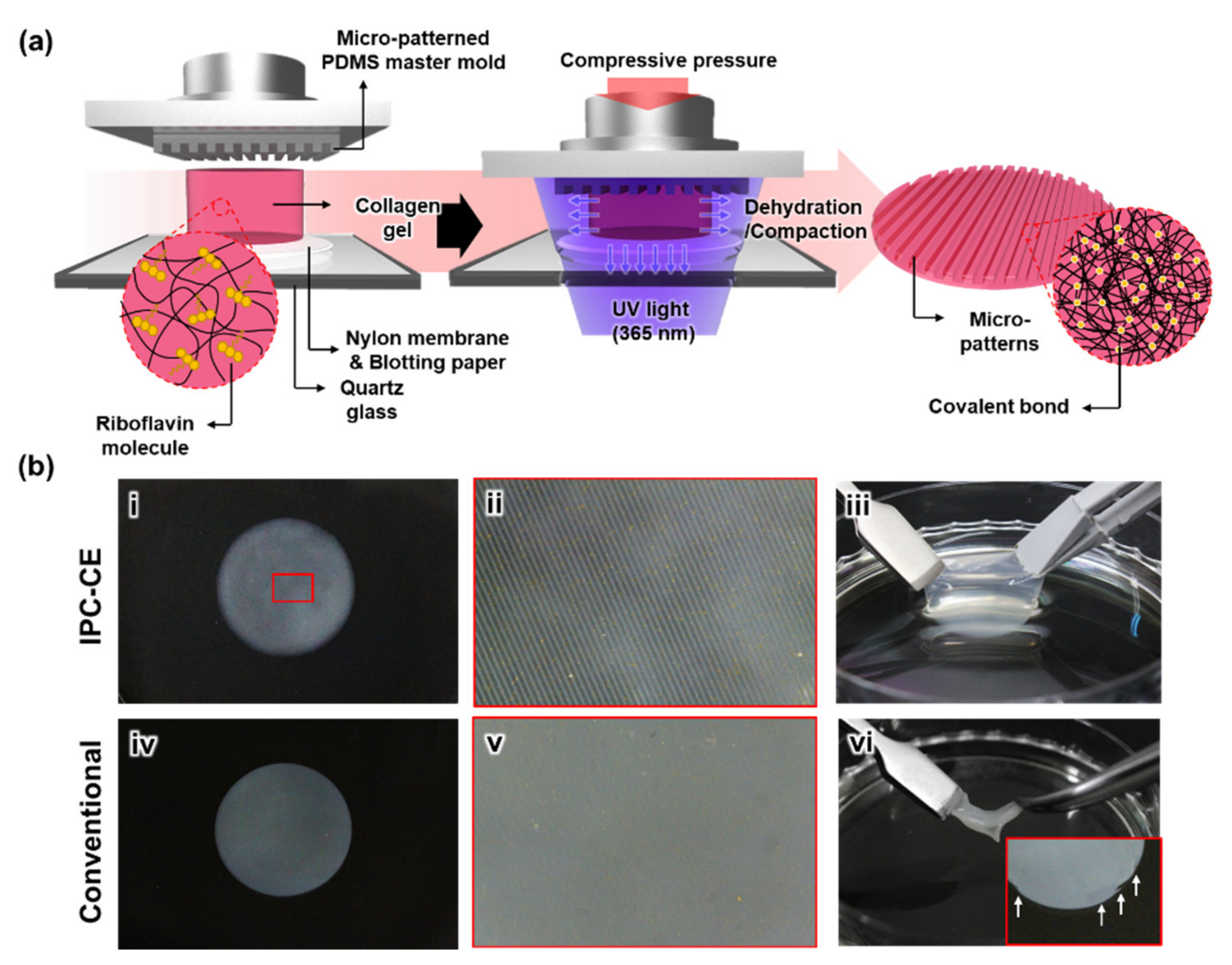 Nanomaterials 10 02574 g001