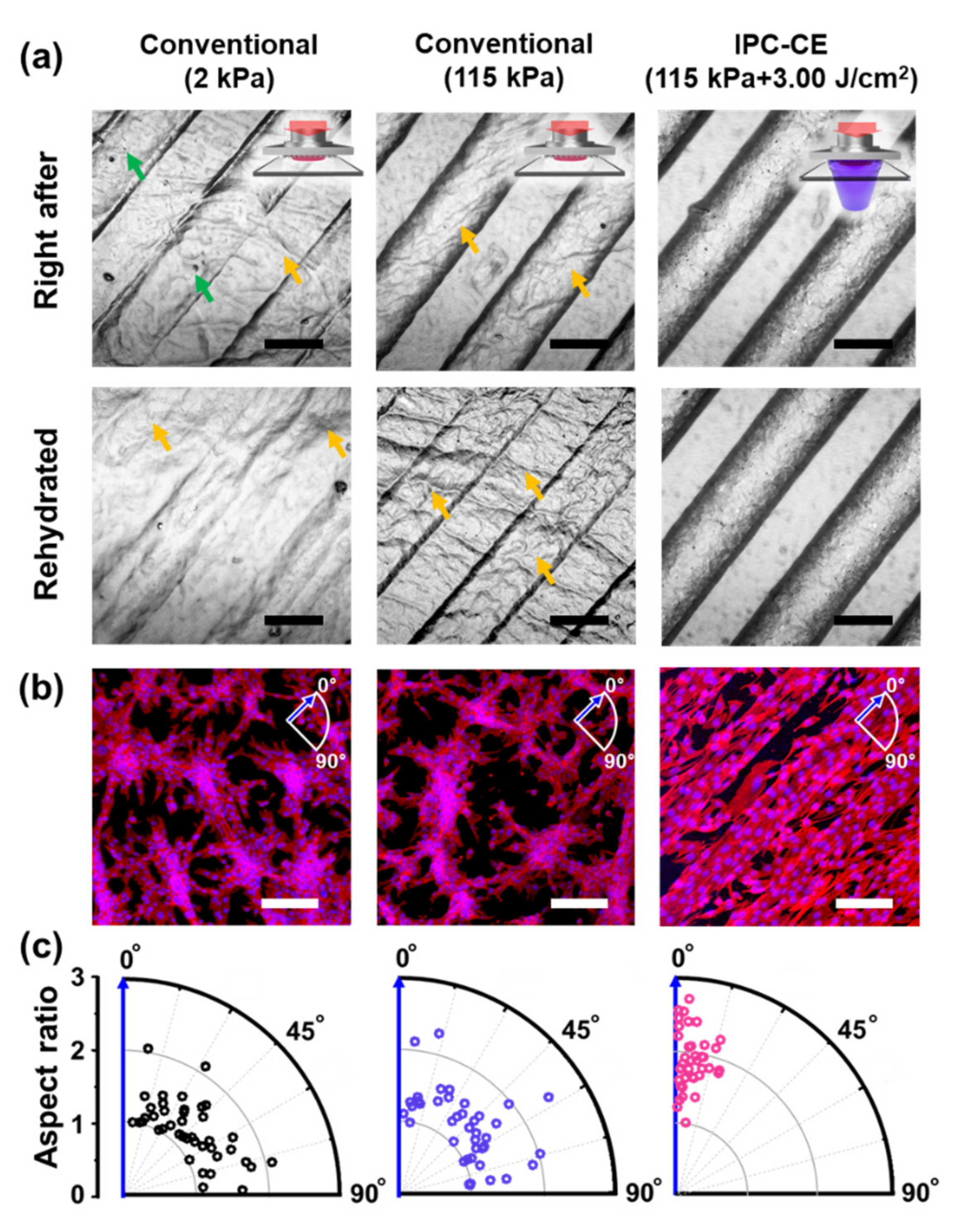 Nanomaterials 10 02574 g004
