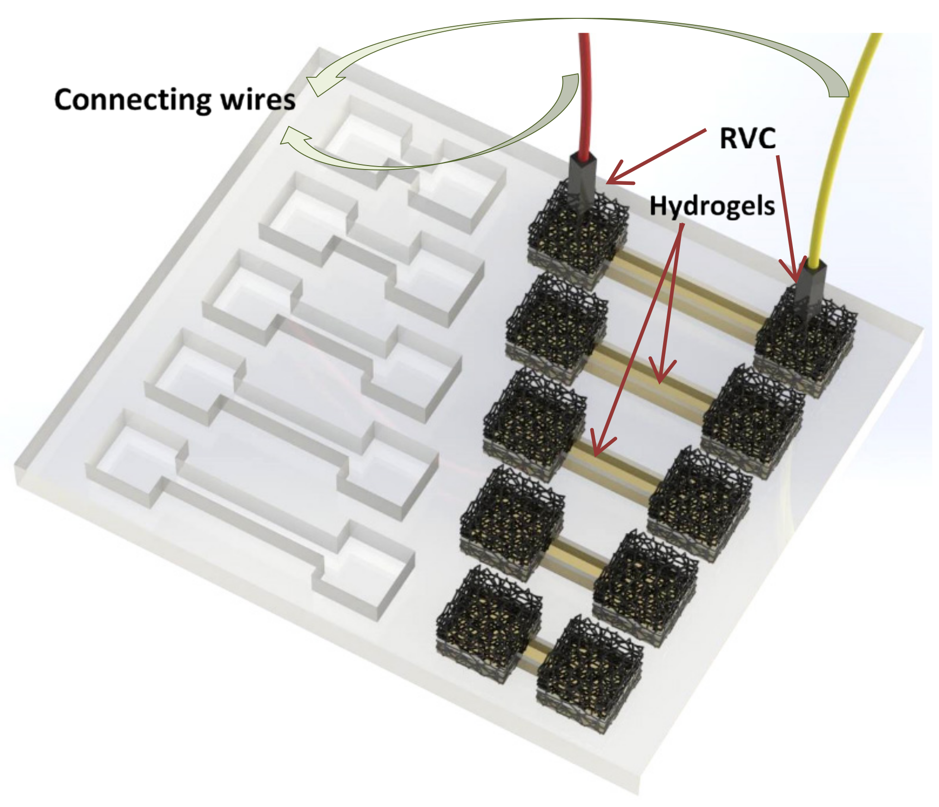 Nanomaterials 11 00003 g002