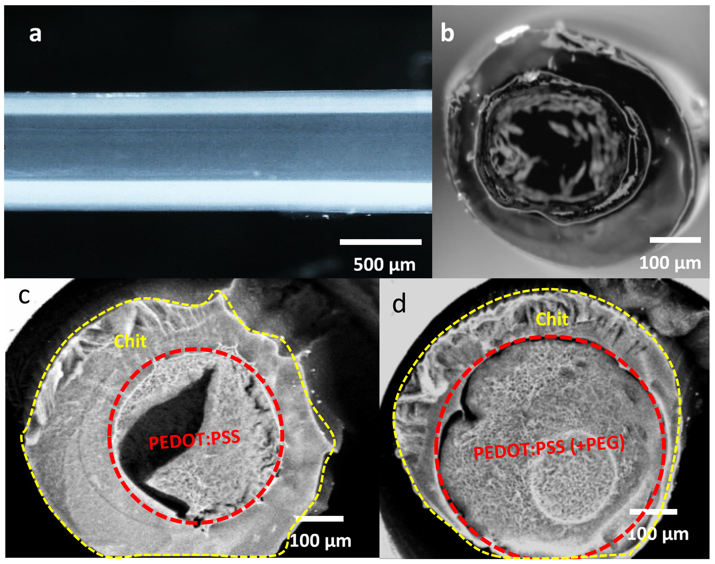 Nanomaterials 11 00003 g005