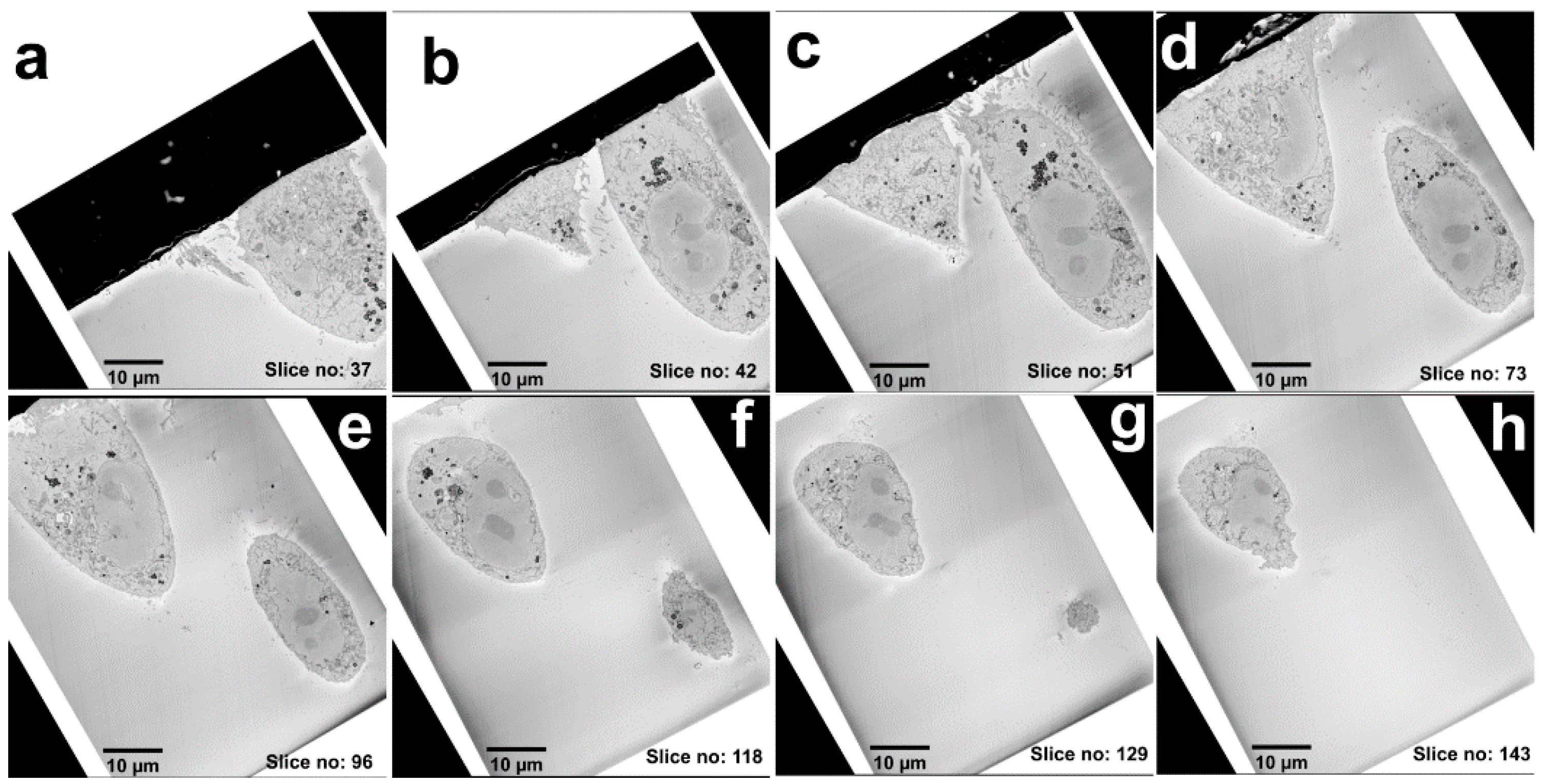 Nanomaterials 11 00014 g002 Nanomaterials 11 00014 g002
