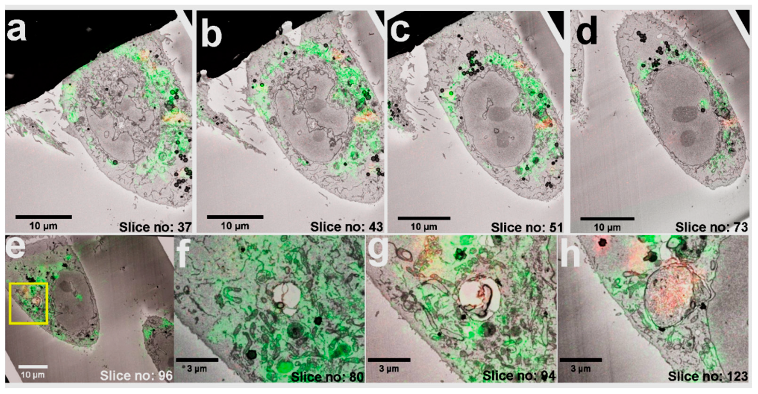 Nanomaterials 11 00014 g004 Nanomaterials 11 00014 g004