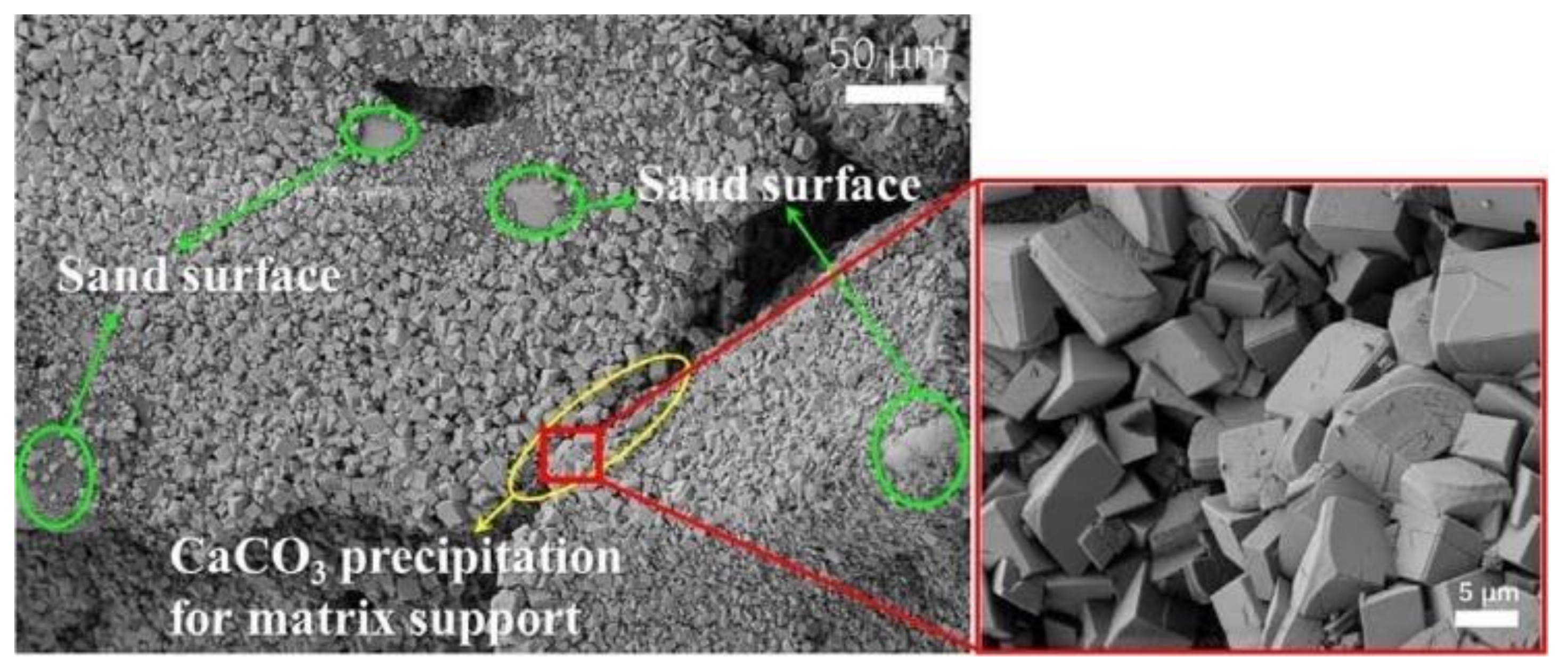 Nanomaterials 11 00015 g006 Nanomaterials 11 00015 g006