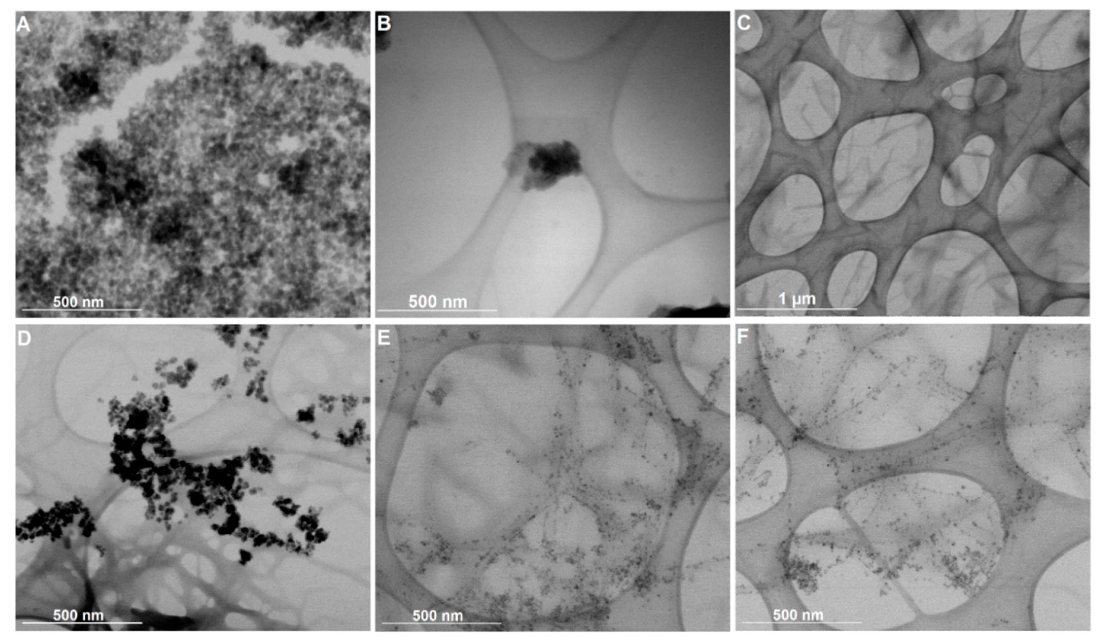 Nanomaterials 11 00016 g006 Nanomaterials 11 00016 g006