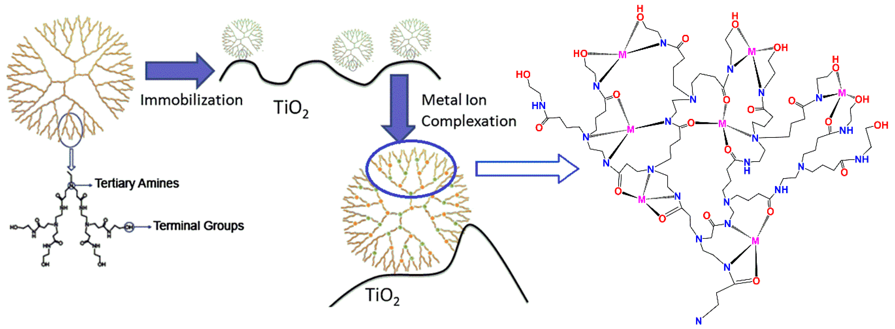 Nanomaterials 11 00019 g004 Nanomaterials 11 00019 g004