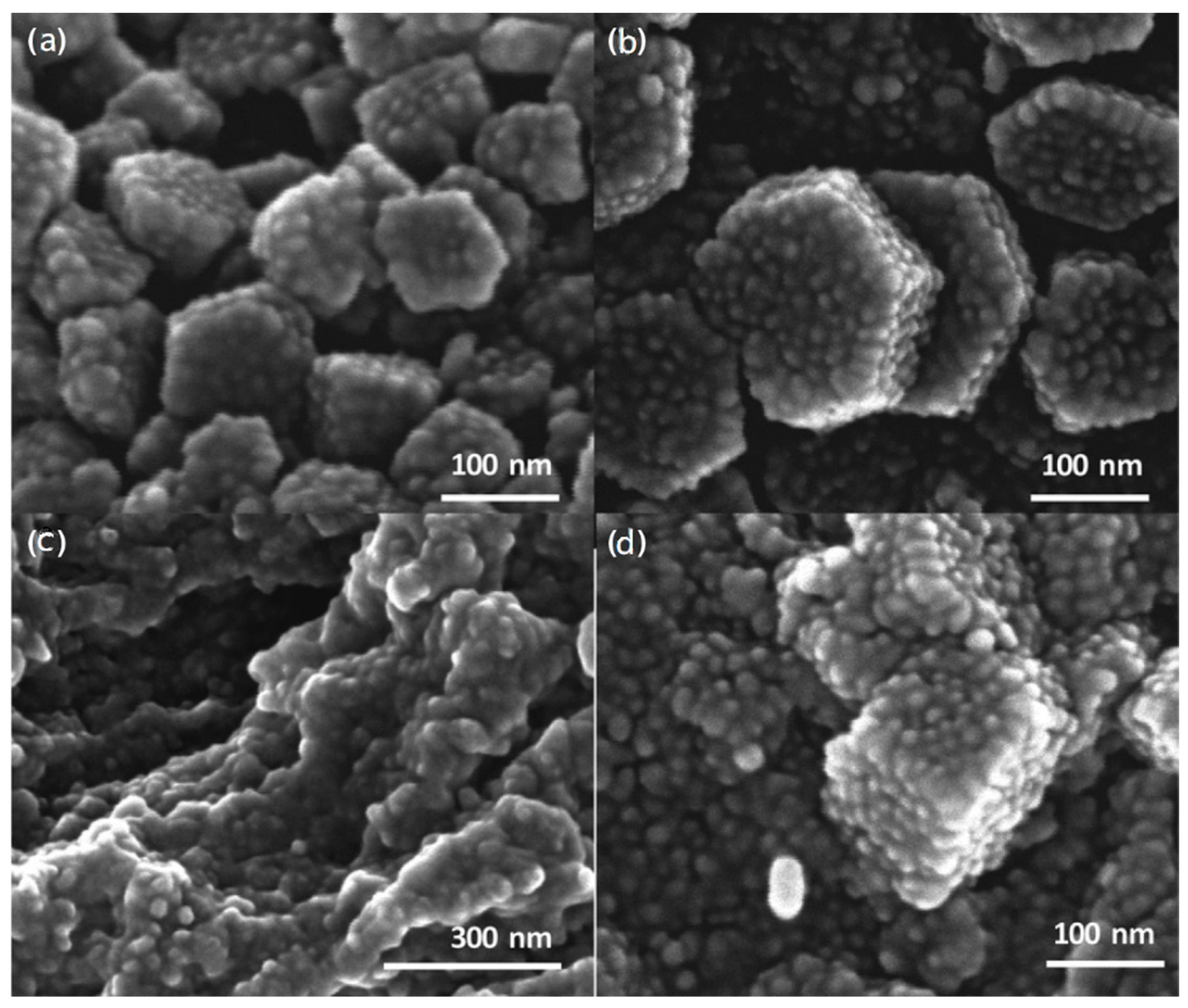 Nanomaterials 11 00019 g020 Nanomaterials 11 00019 g020