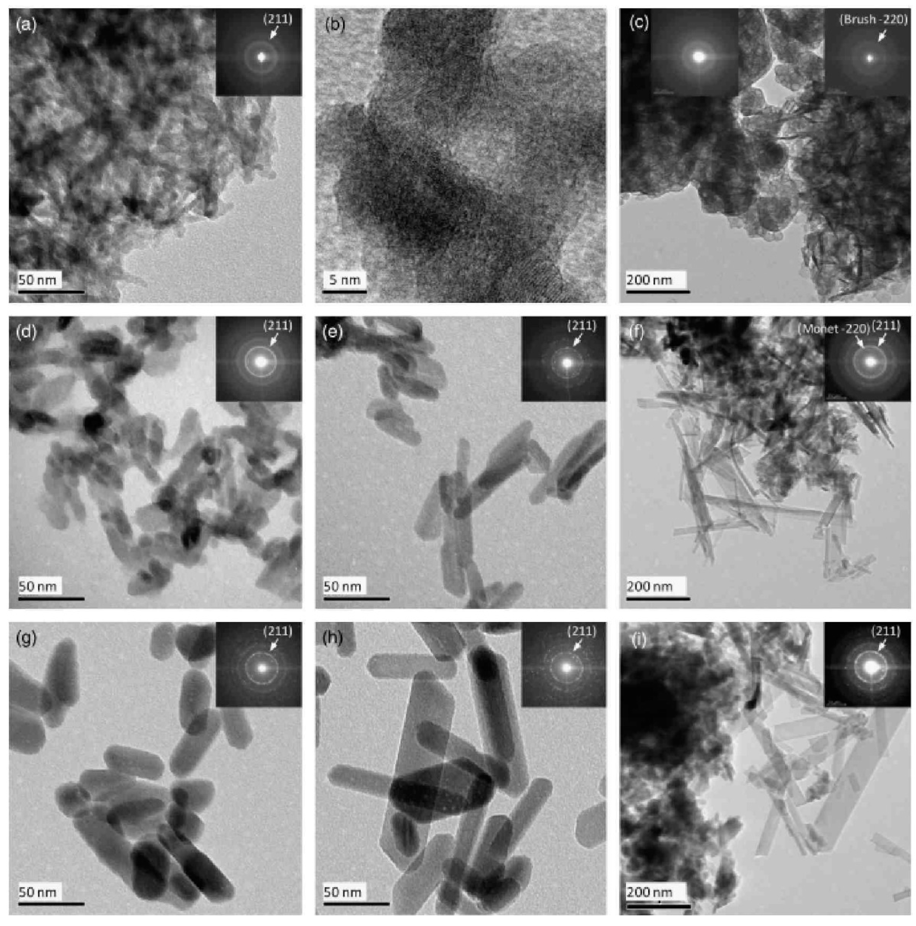 Nanomaterials 11 00019 g024 Nanomaterials 11 00019 g024