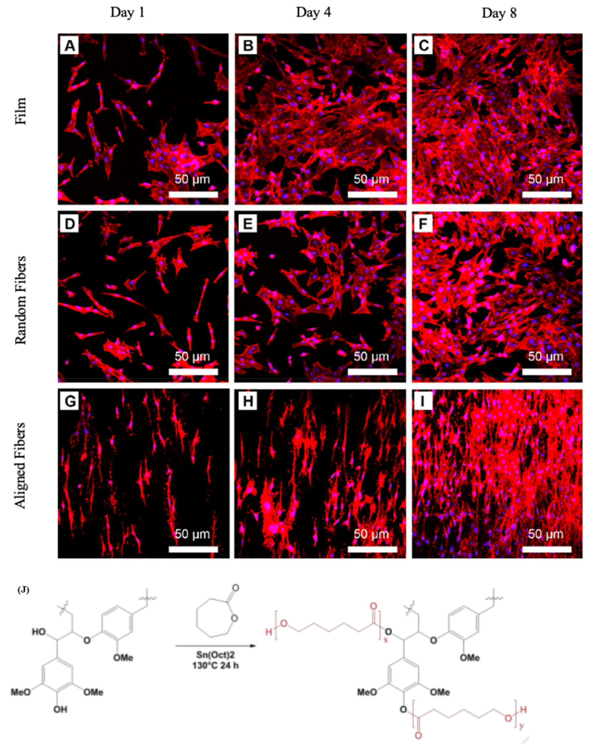 Nanomaterials 11 00021 g005
