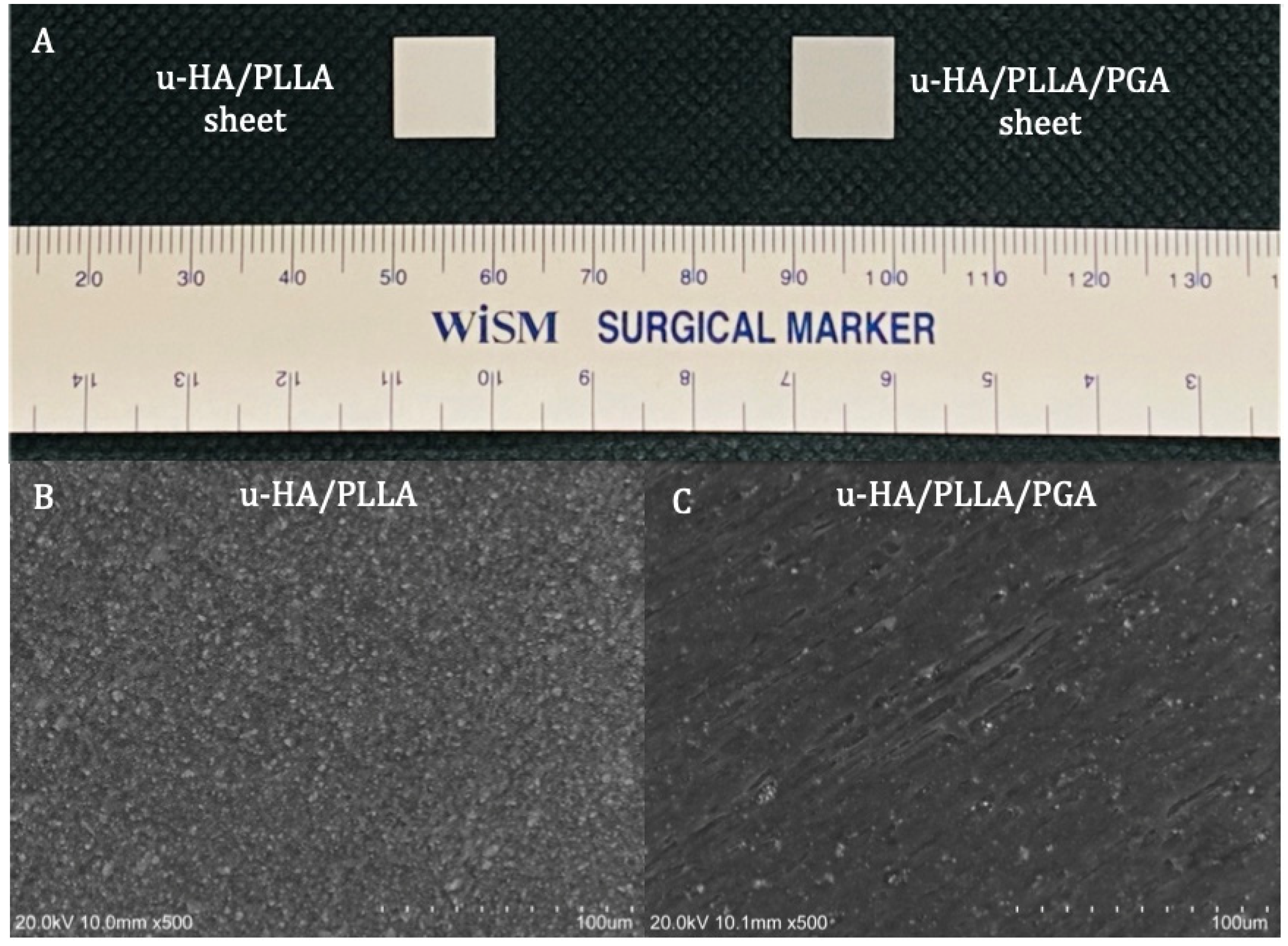 Nanomaterials 11 00022 g001 Nanomaterials 11 00022 g001
