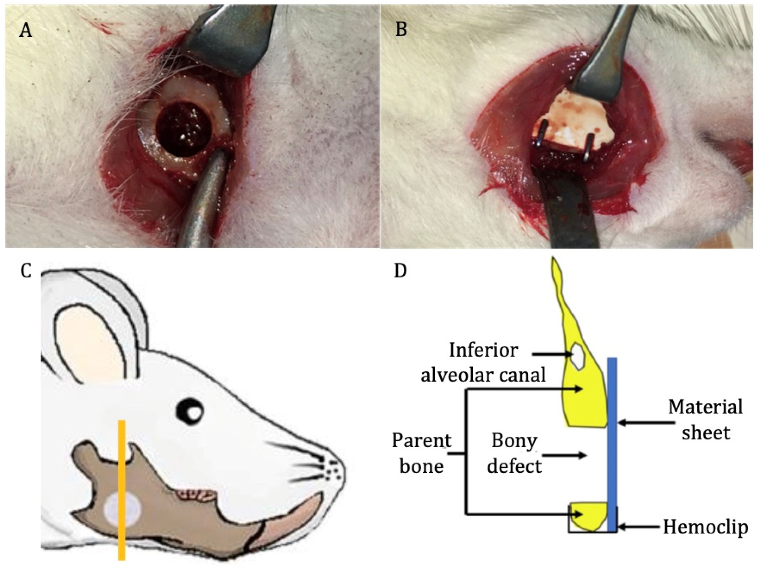 Nanomaterials 11 00022 g002 Nanomaterials 11 00022 g002