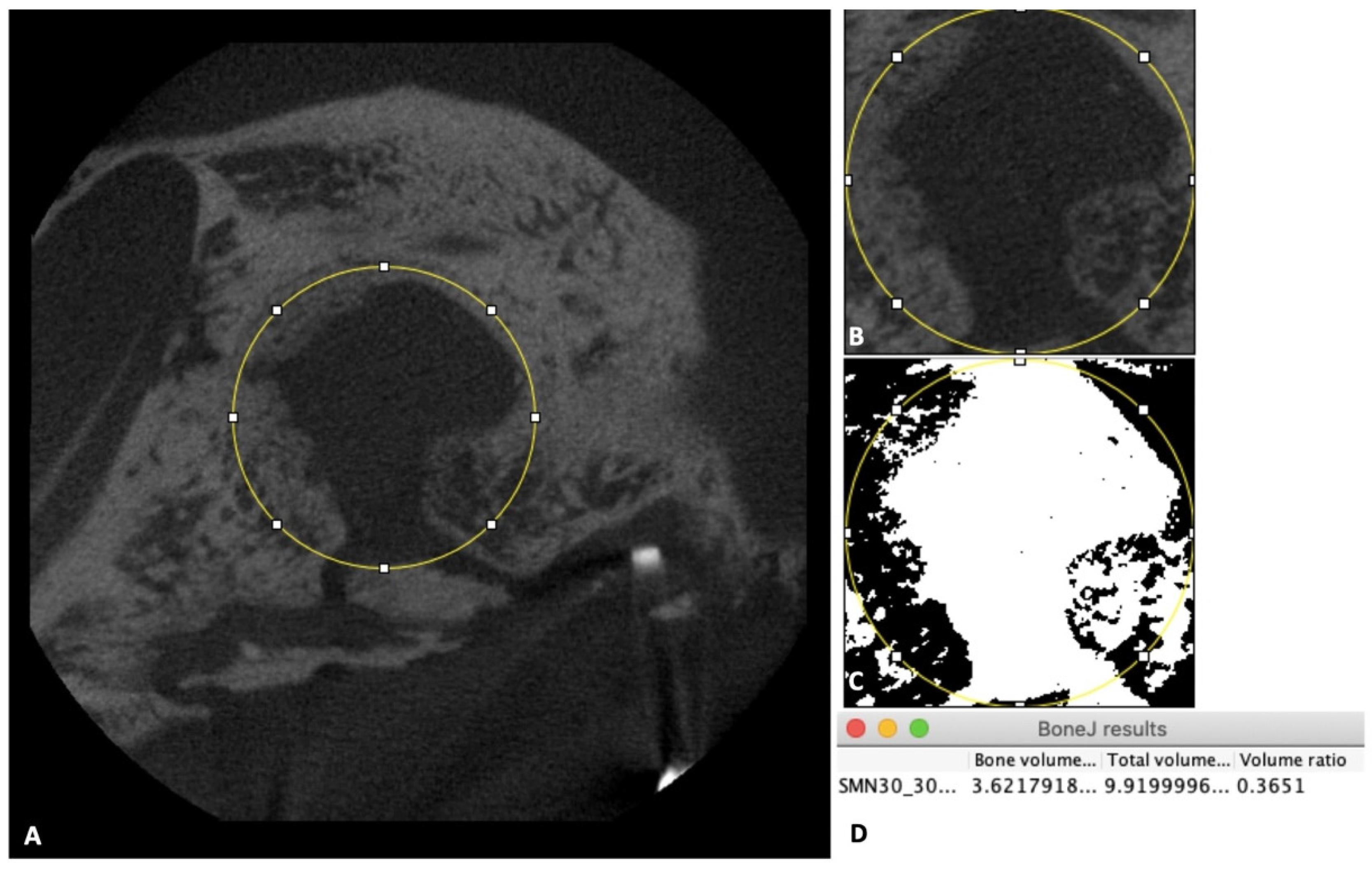 Nanomaterials 11 00022 g003 Nanomaterials 11 00022 g003
