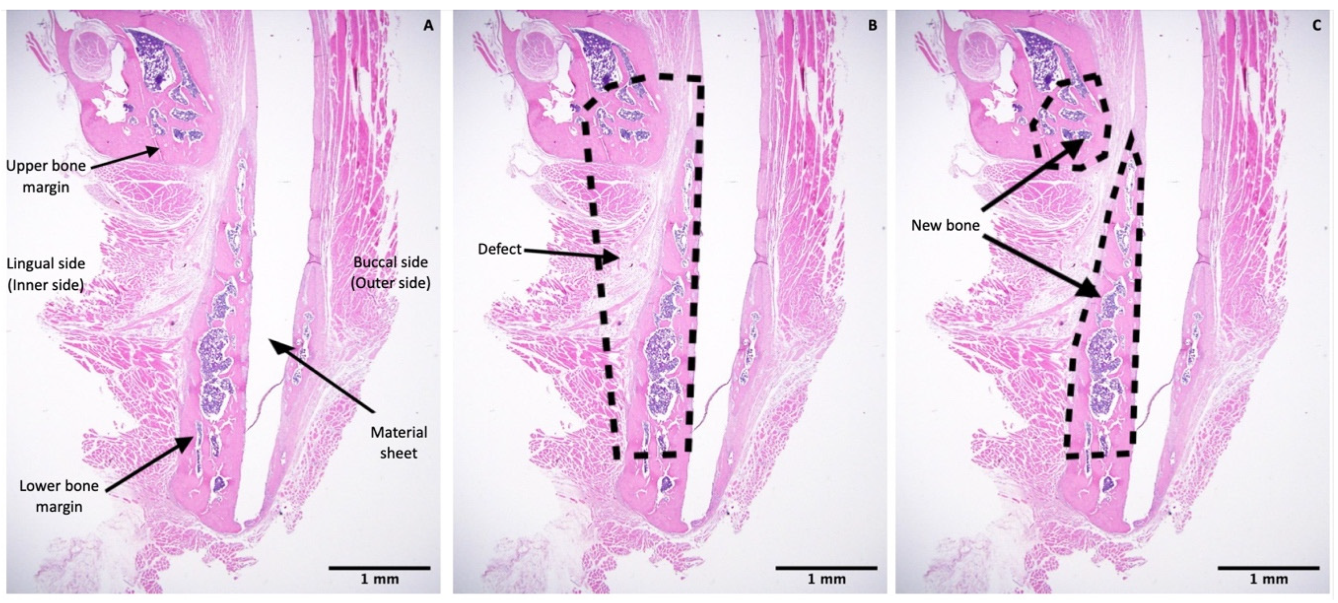 Nanomaterials 11 00022 g004 Nanomaterials 11 00022 g004